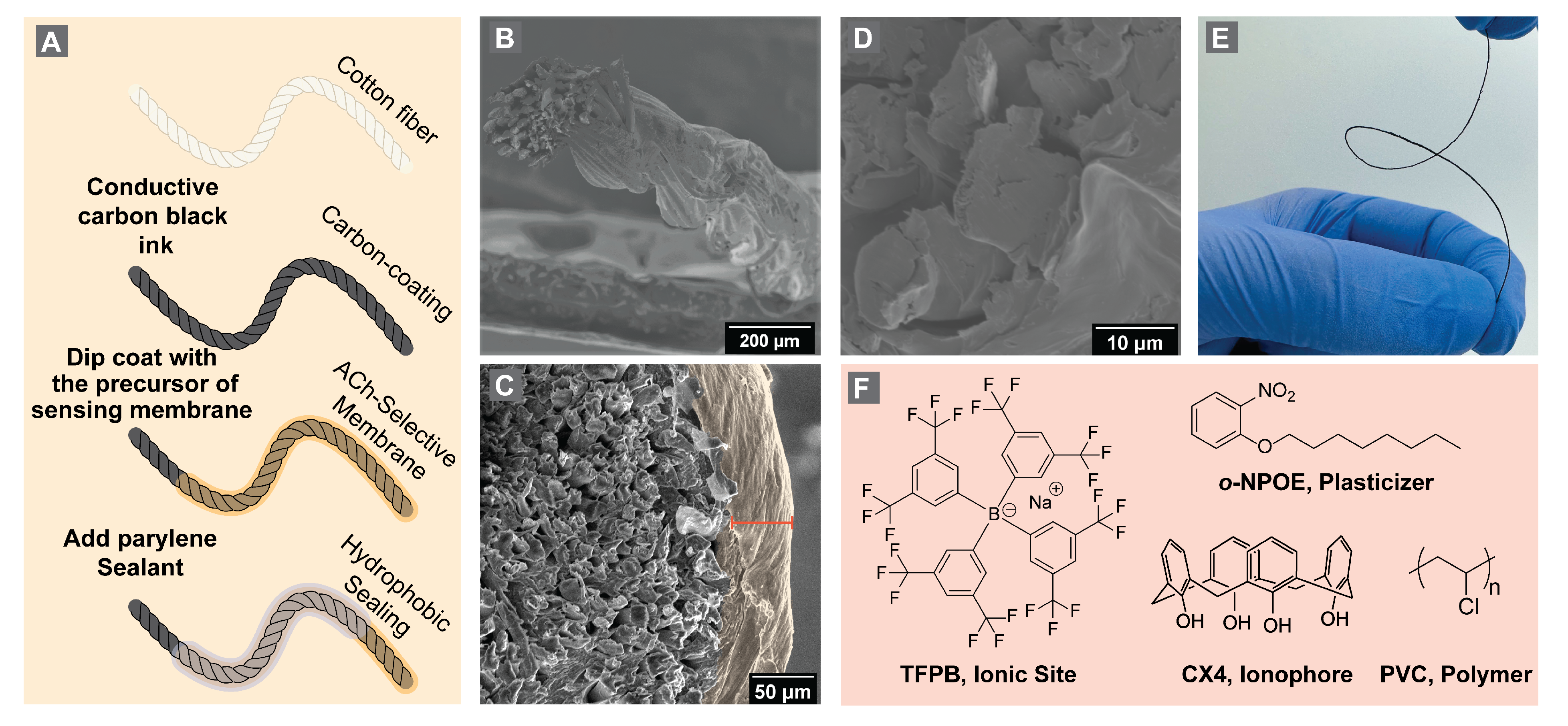 Bioengineering 10 00655 g002 Bioengineering 10 00655 g002