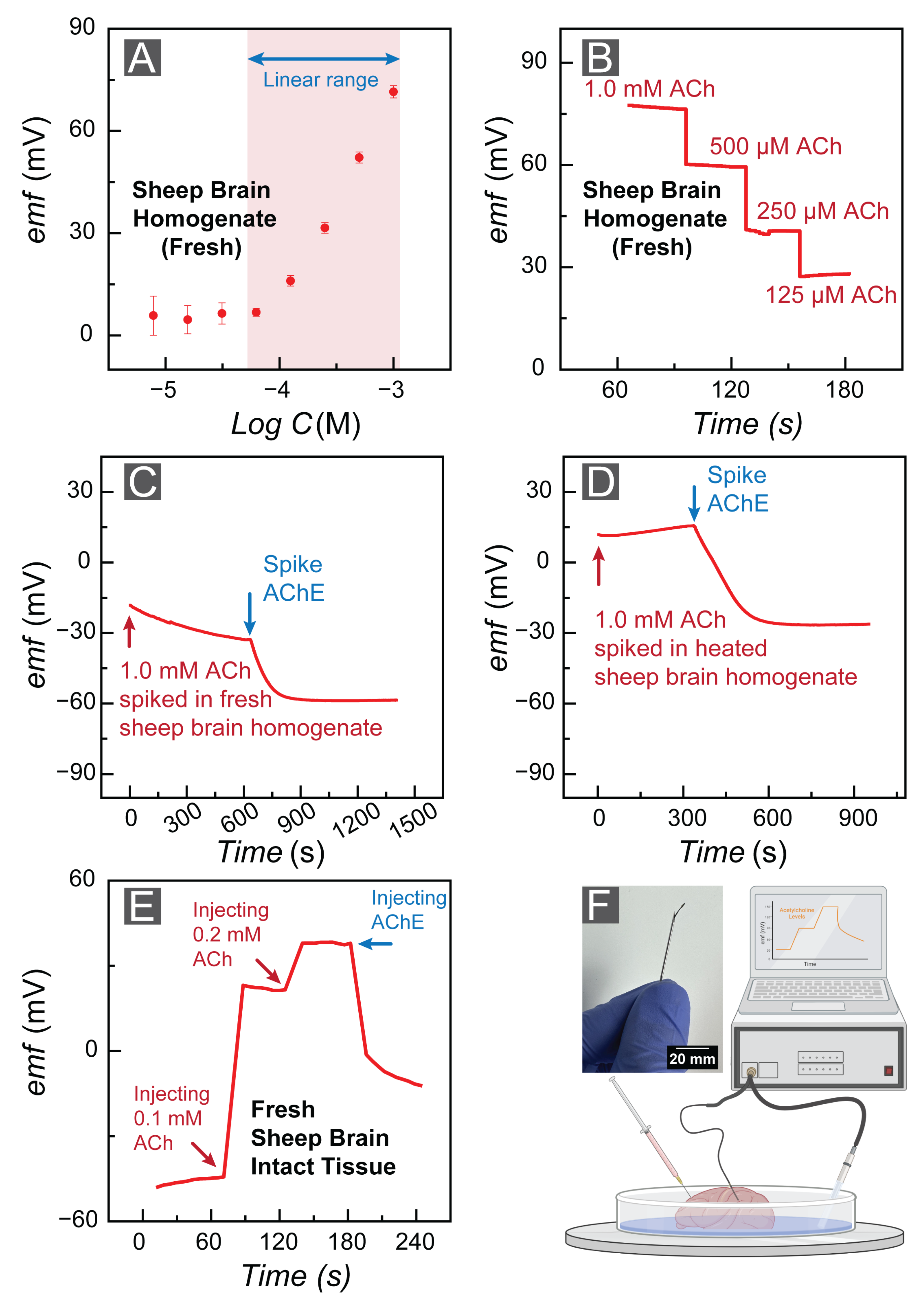 Bioengineering 10 00655 g005 Bioengineering 10 00655 g005