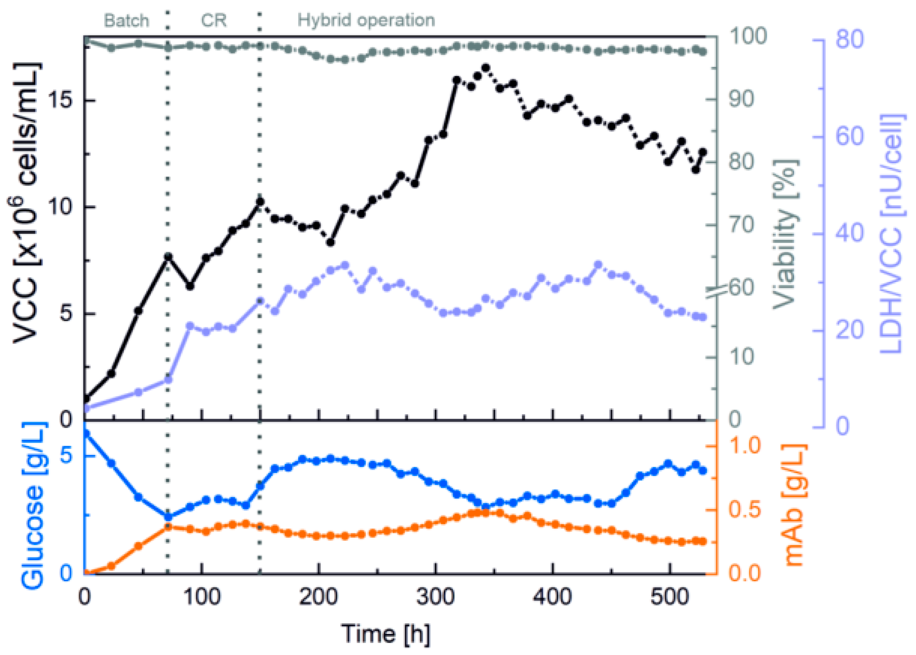 Bioengineering 10 00656 g003 Bioengineering 10 00656 g003