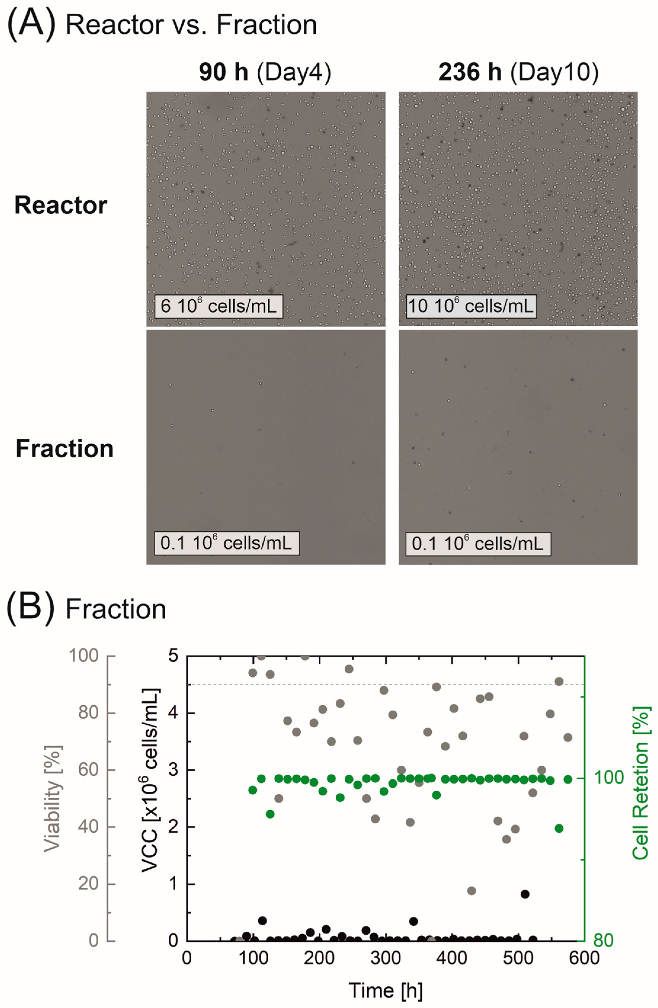 Bioengineering 10 00656 g005 Bioengineering 10 00656 g005