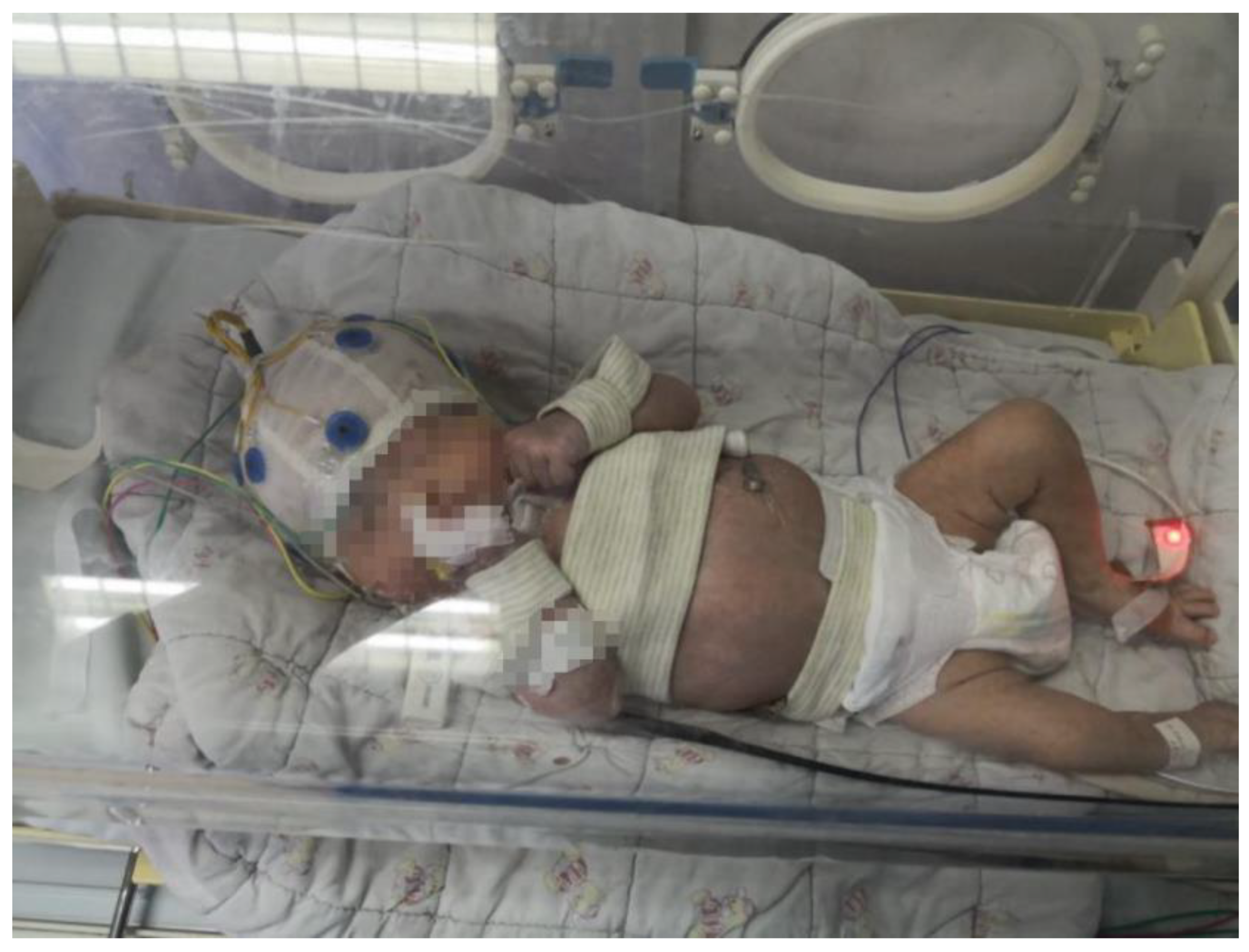 Bioengineering 10 00658 g003