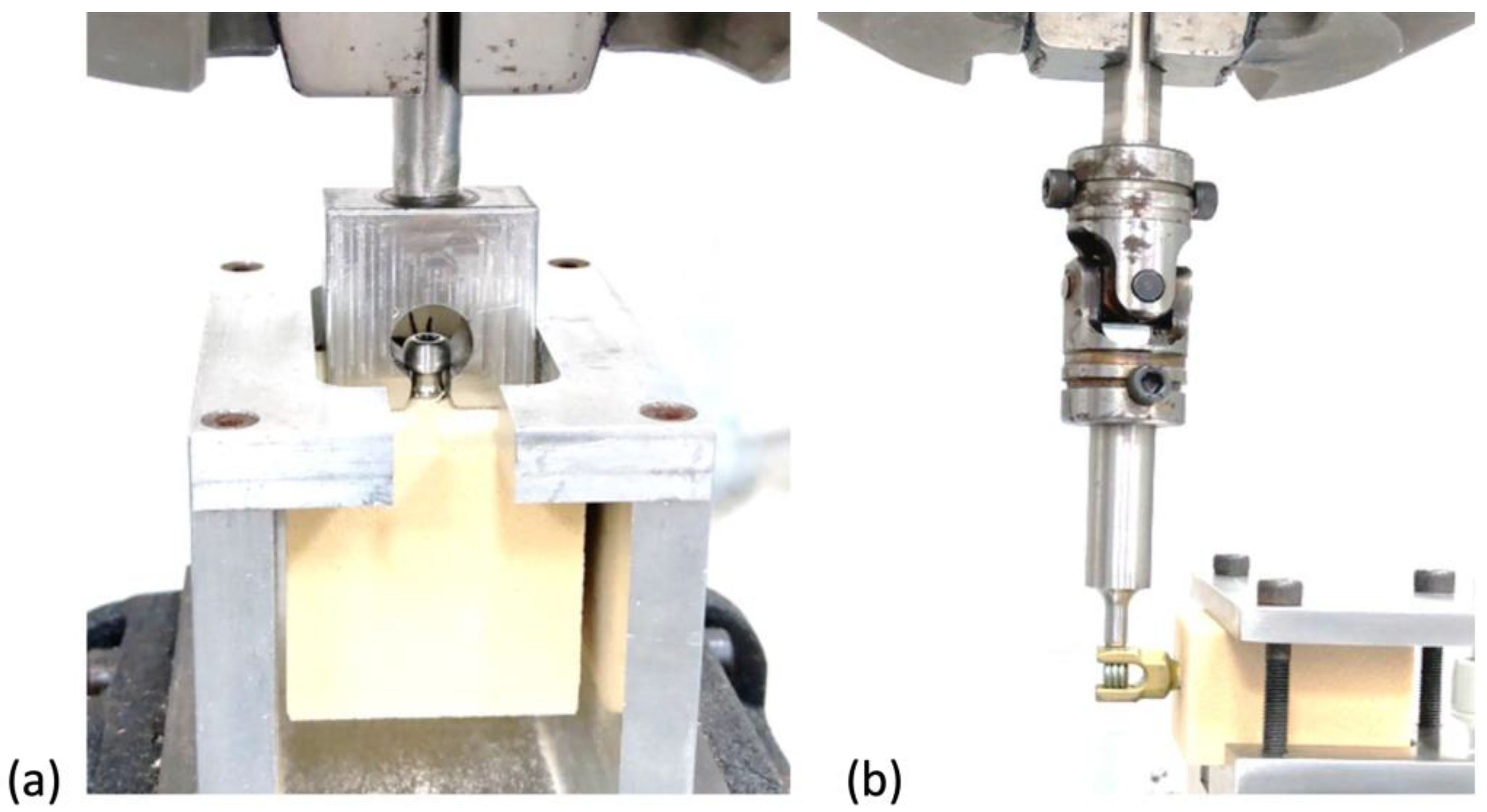 Bioengineering 10 00660 g003