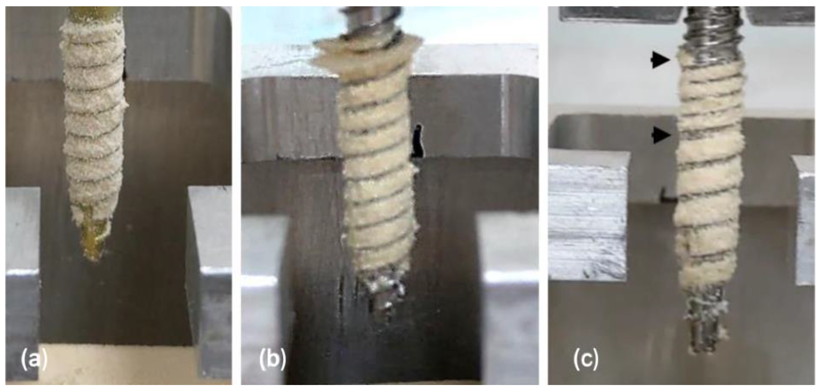 Bioengineering 10 00660 g005