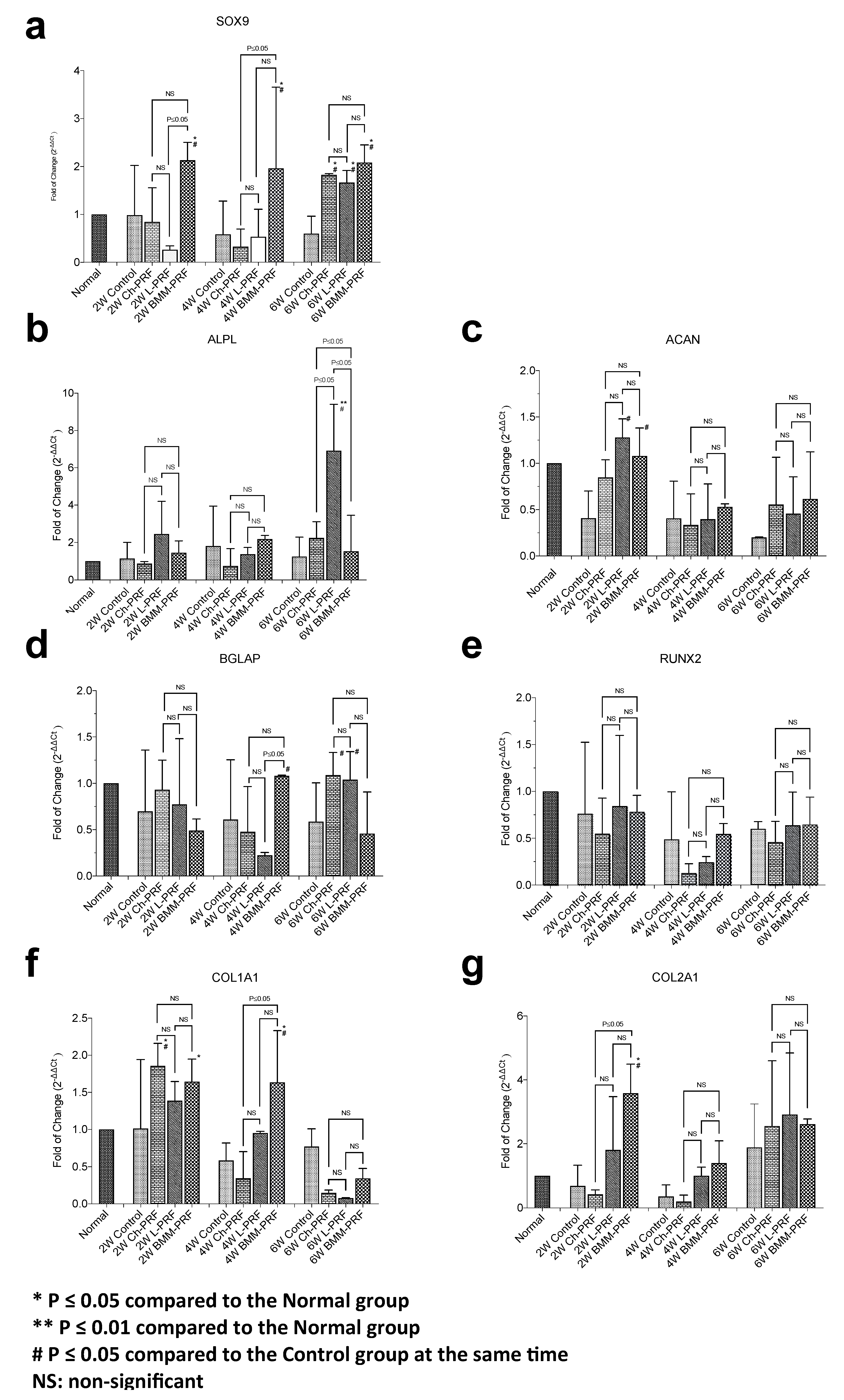 Bioengineering 10 00661 g002