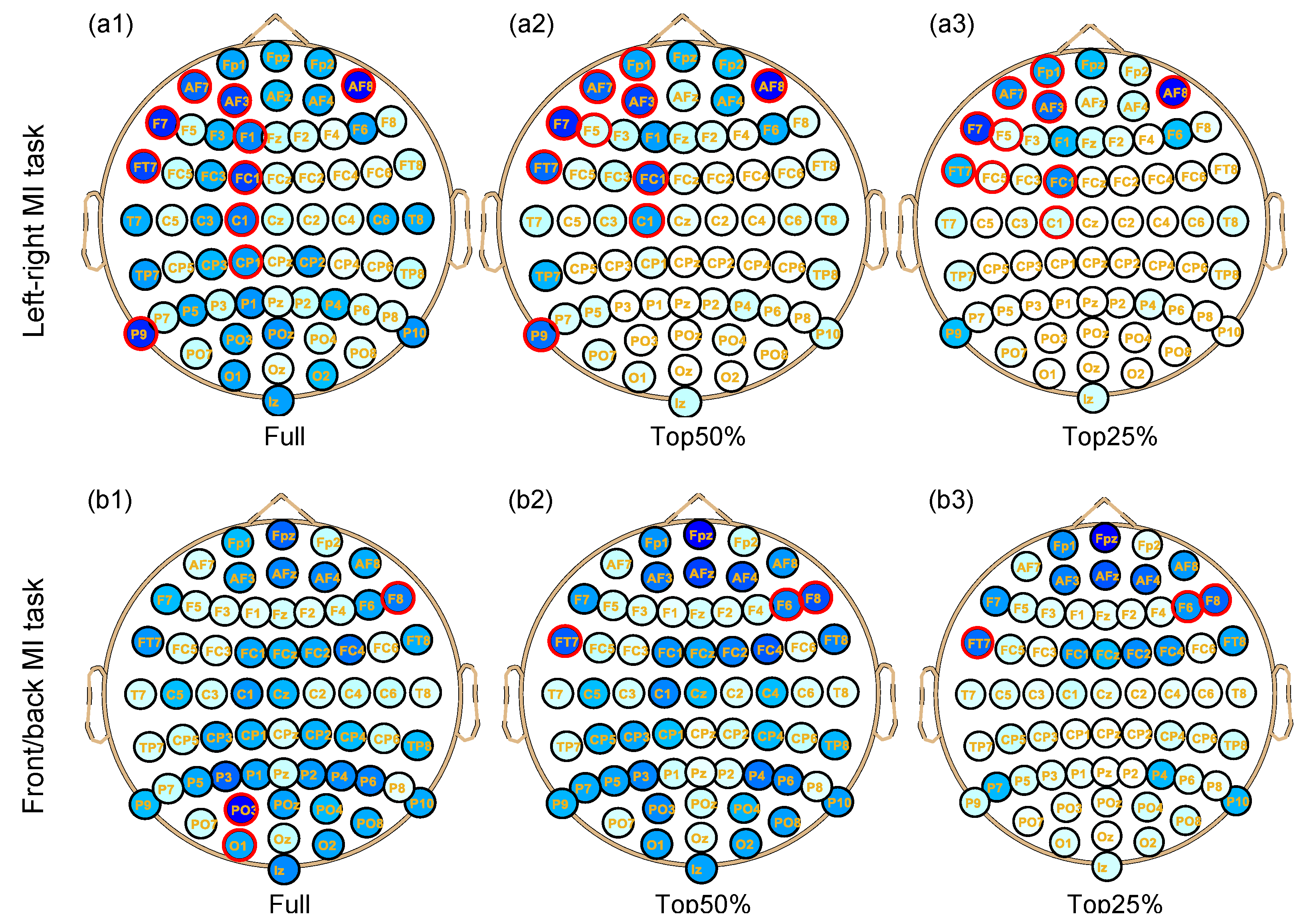 Bioengineering 10 00664 g003 Bioengineering 10 00664 g003
