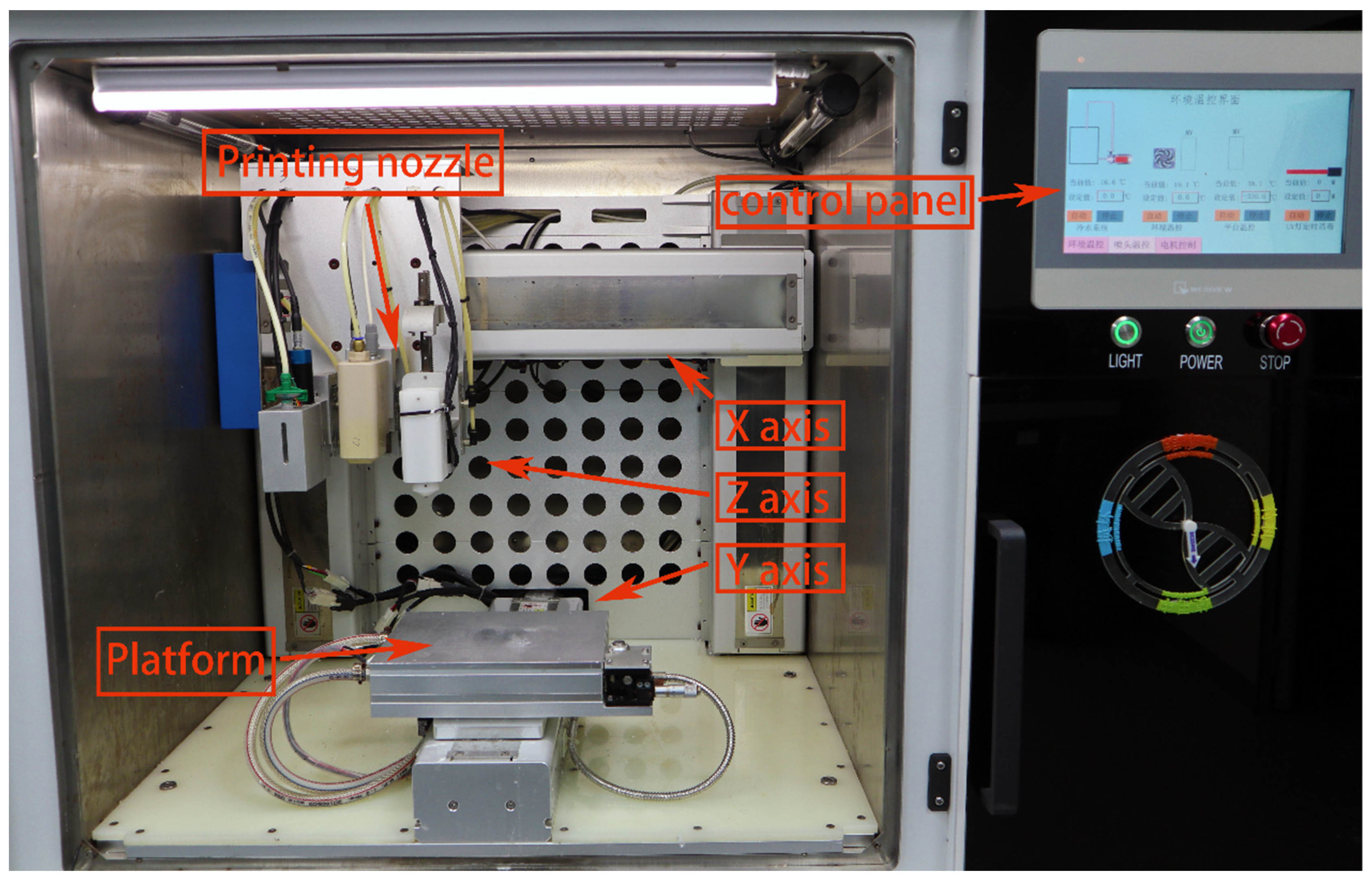 Bioengineering 10 00667 g001
