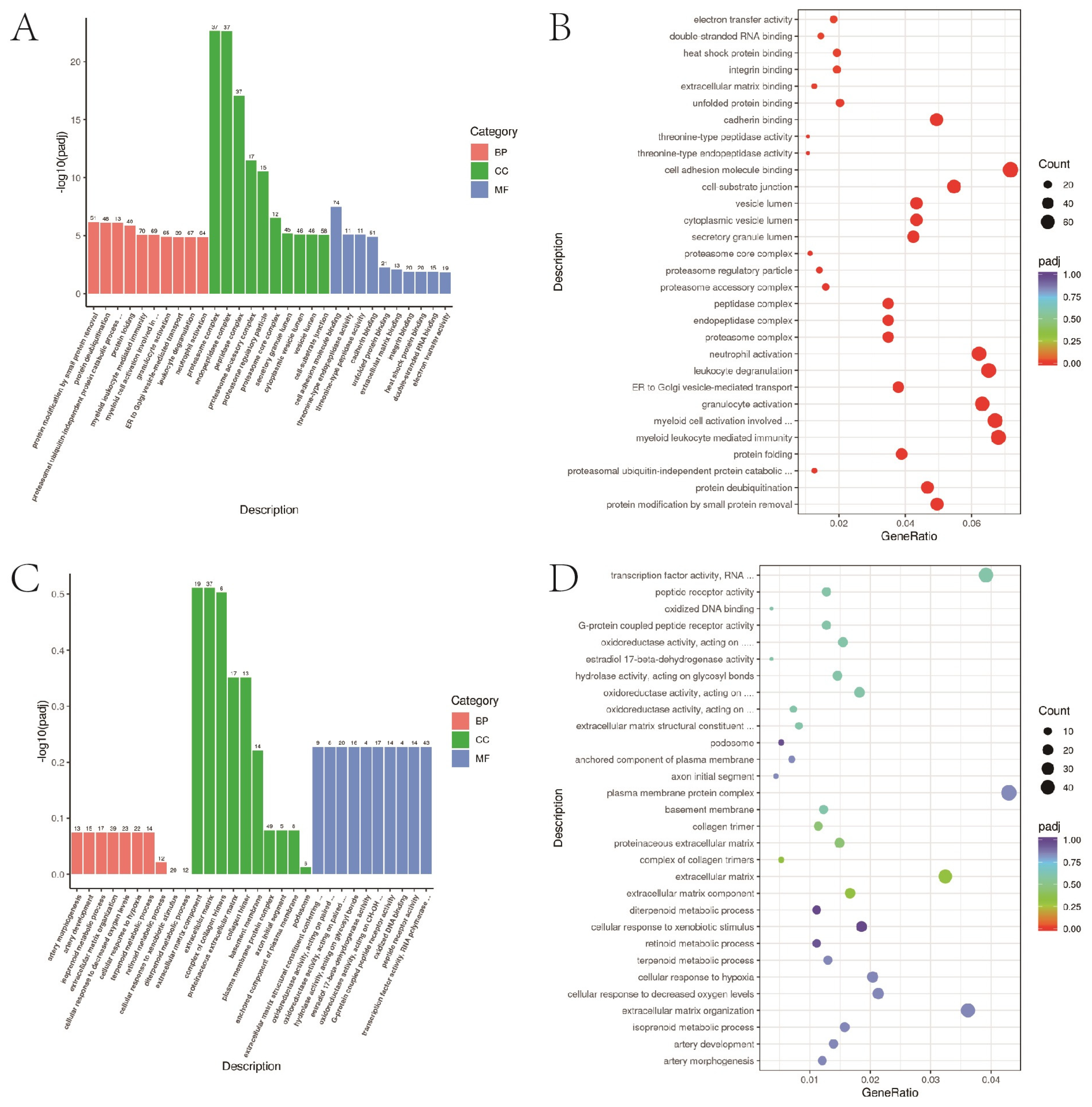 Bioengineering 10 00667 g006