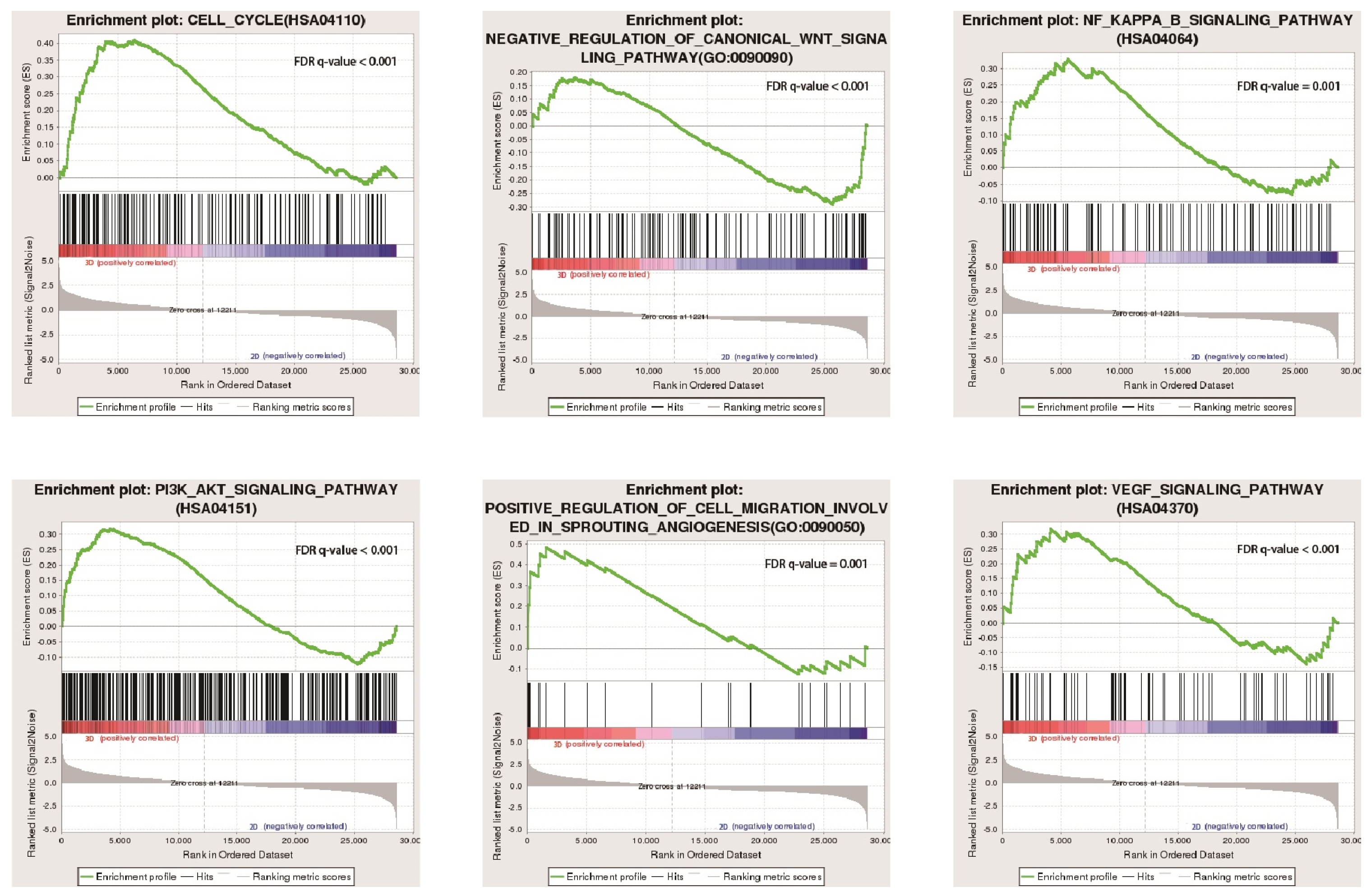Bioengineering 10 00667 g008