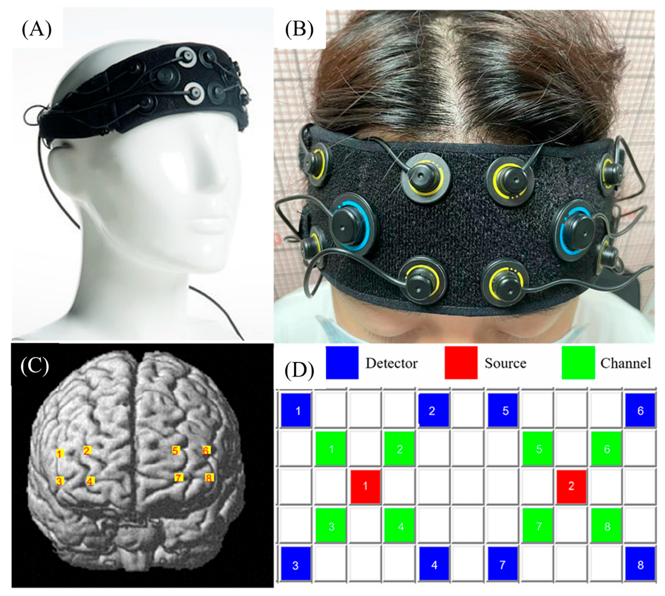 Bioengineering 10 00669 g001