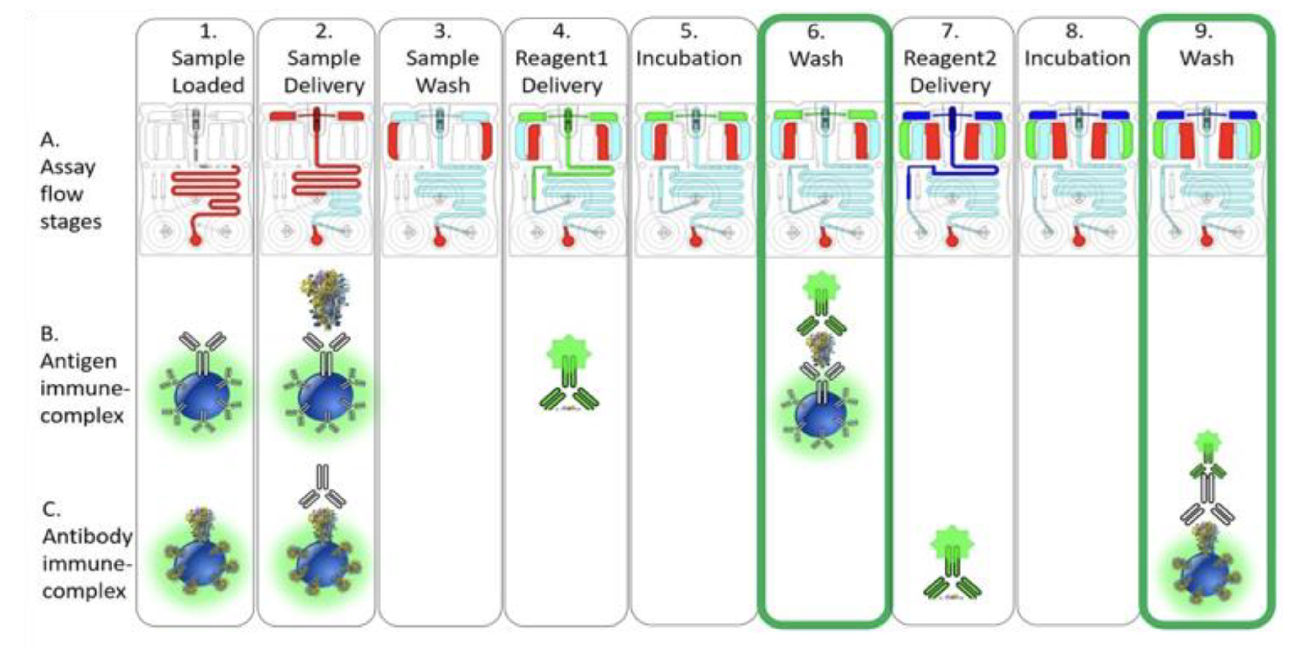 Bioengineering 10 00670 g005