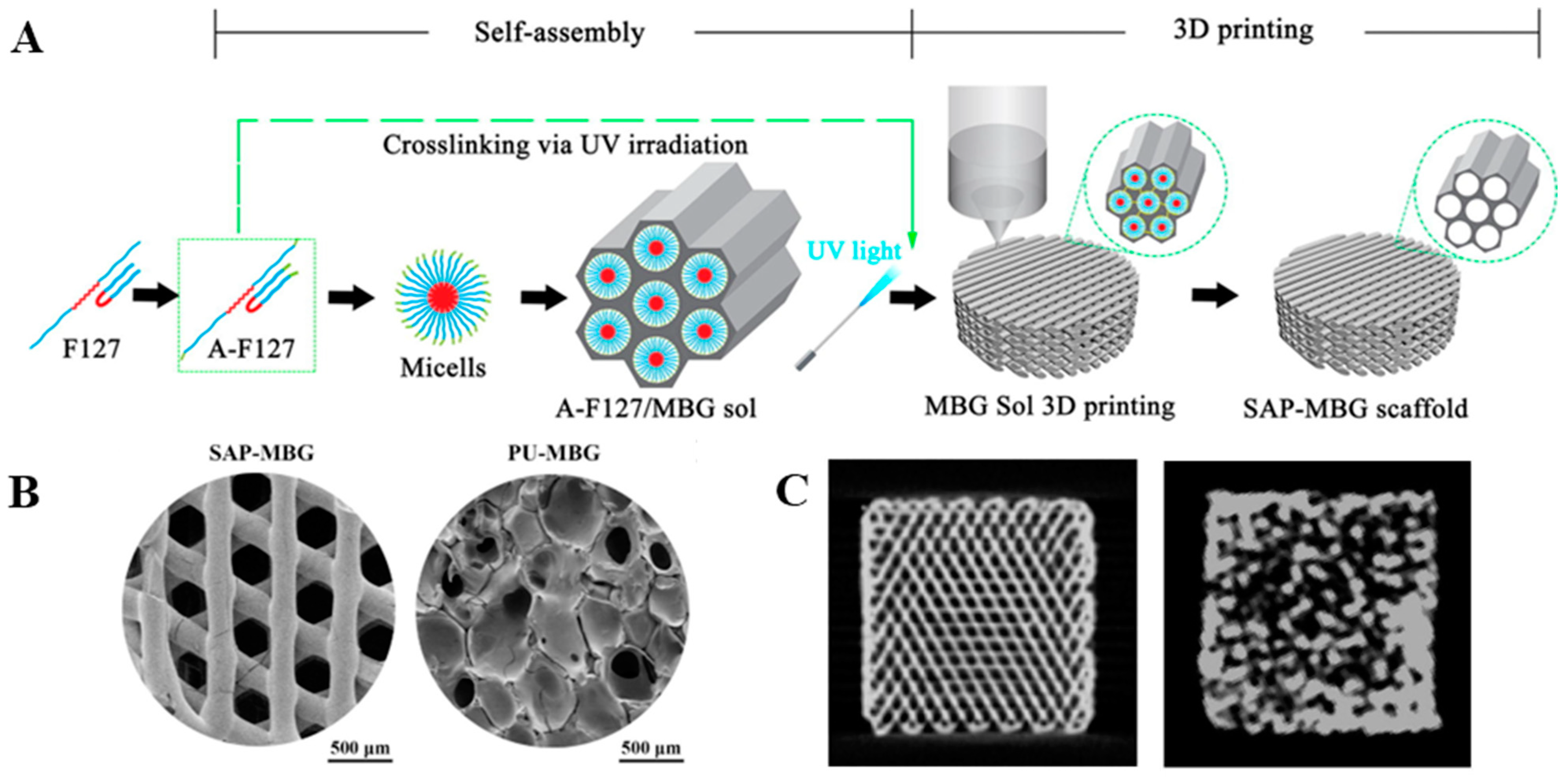 Bioengineering 10 00672 g003