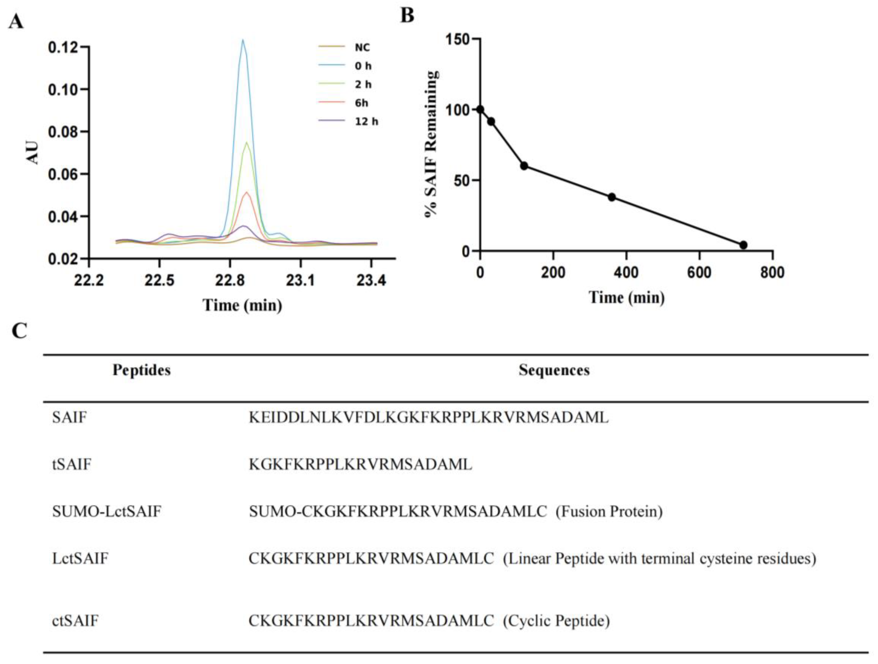 Bioengineering 10 00674 g001 Bioengineering 10 00674 g001