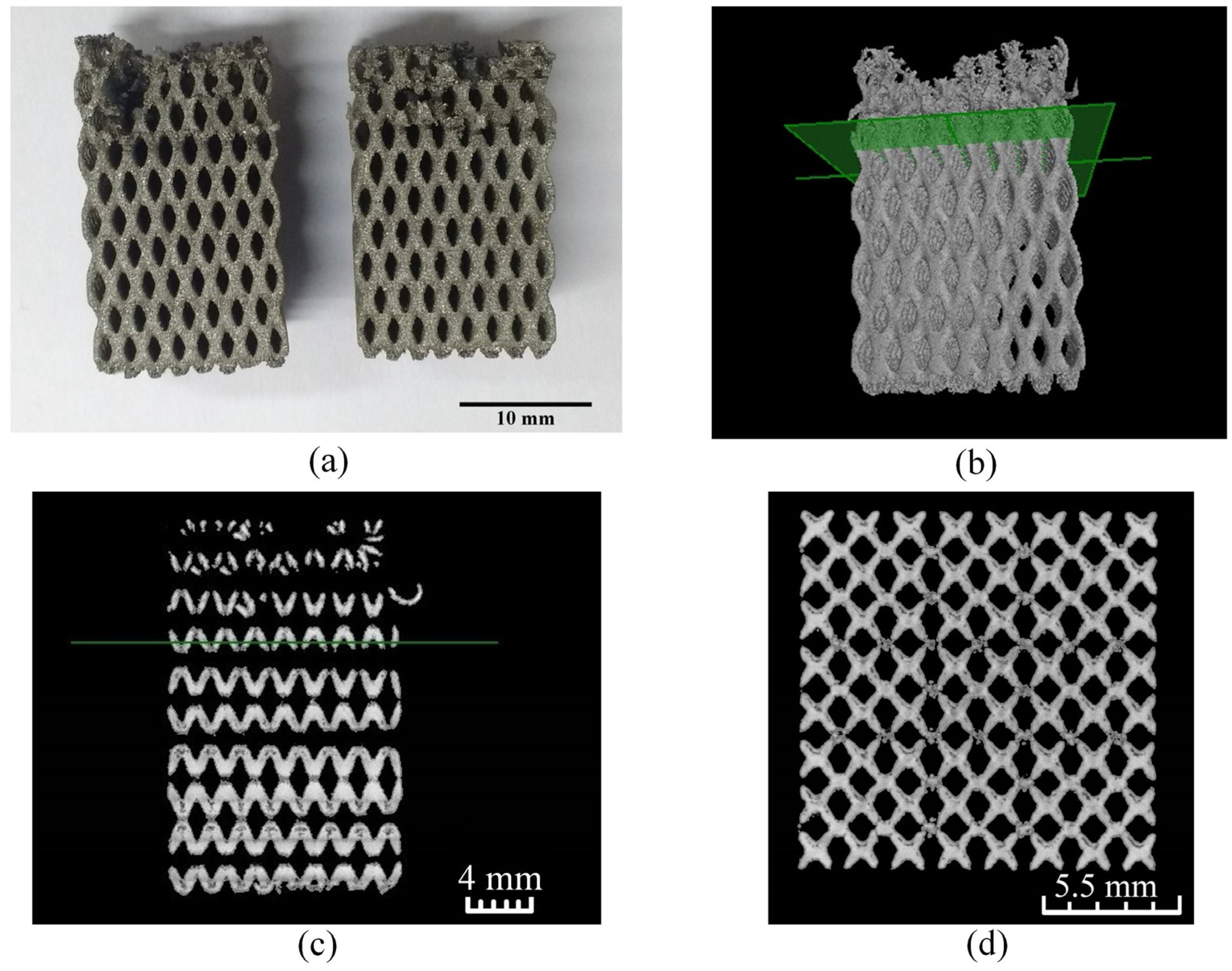 Bioengineering 10 00675 g005 Bioengineering 10 00675 g005