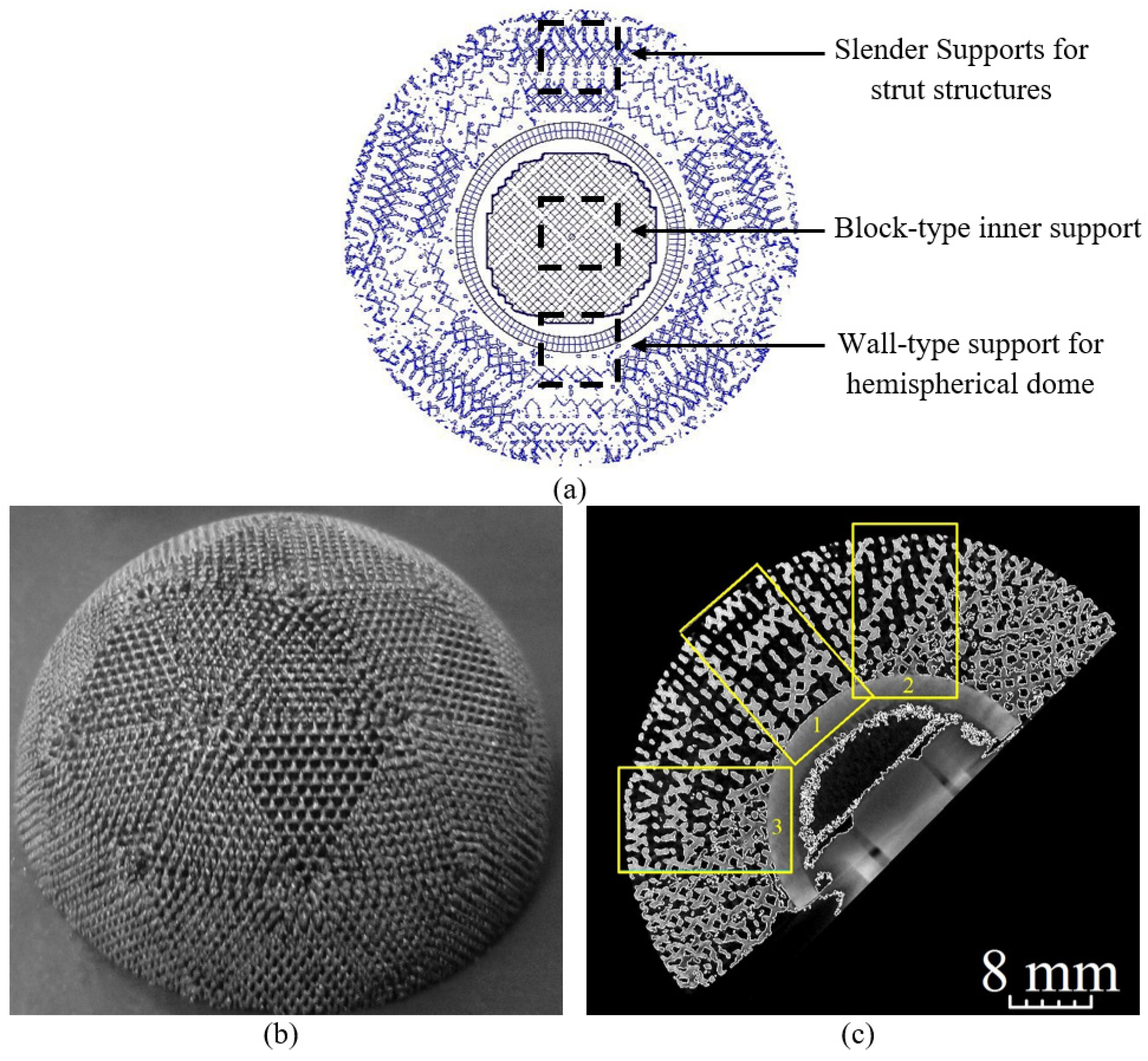 Bioengineering 10 00675 g006 Bioengineering 10 00675 g006