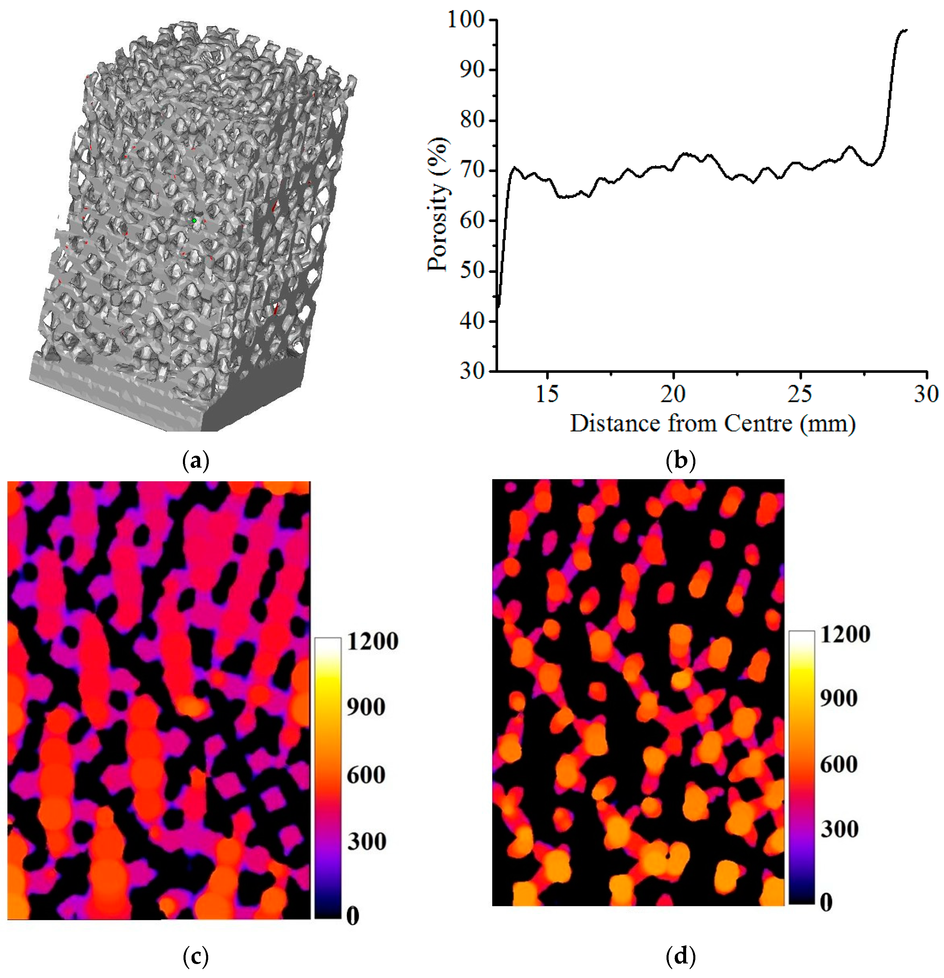 Bioengineering 10 00675 g012 Bioengineering 10 00675 g012