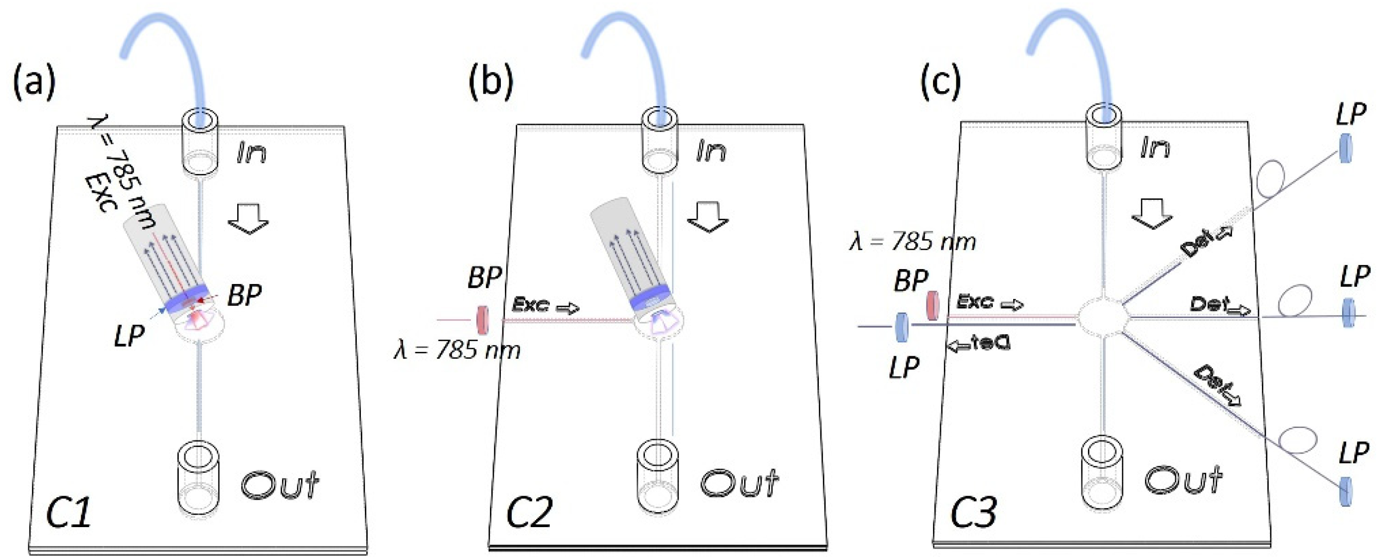 Bioengineering 10 00676 g001
