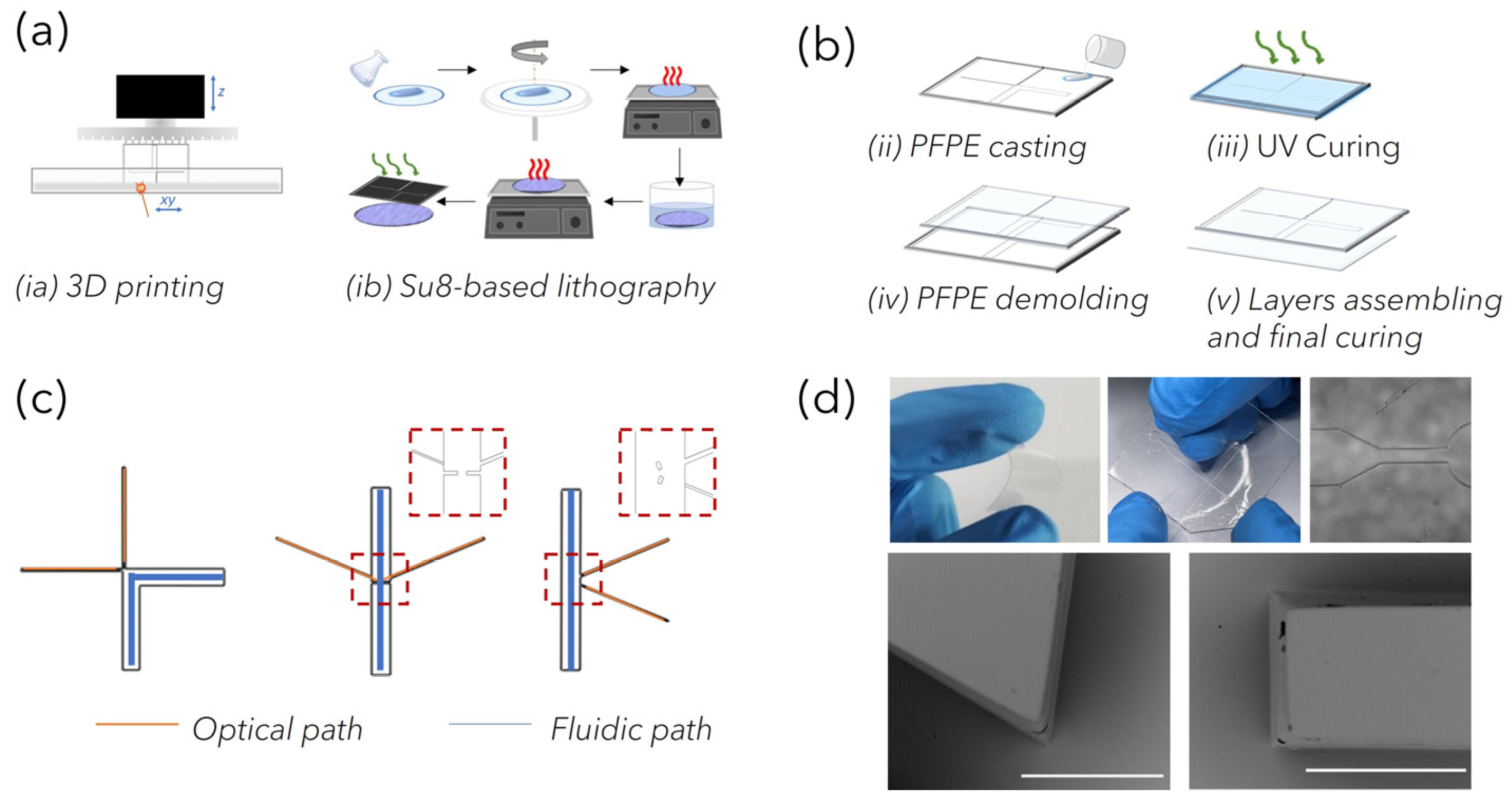 Bioengineering 10 00676 g002