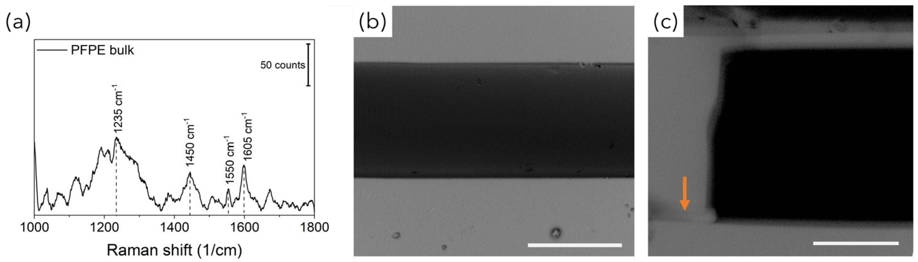 Bioengineering 10 00676 g003