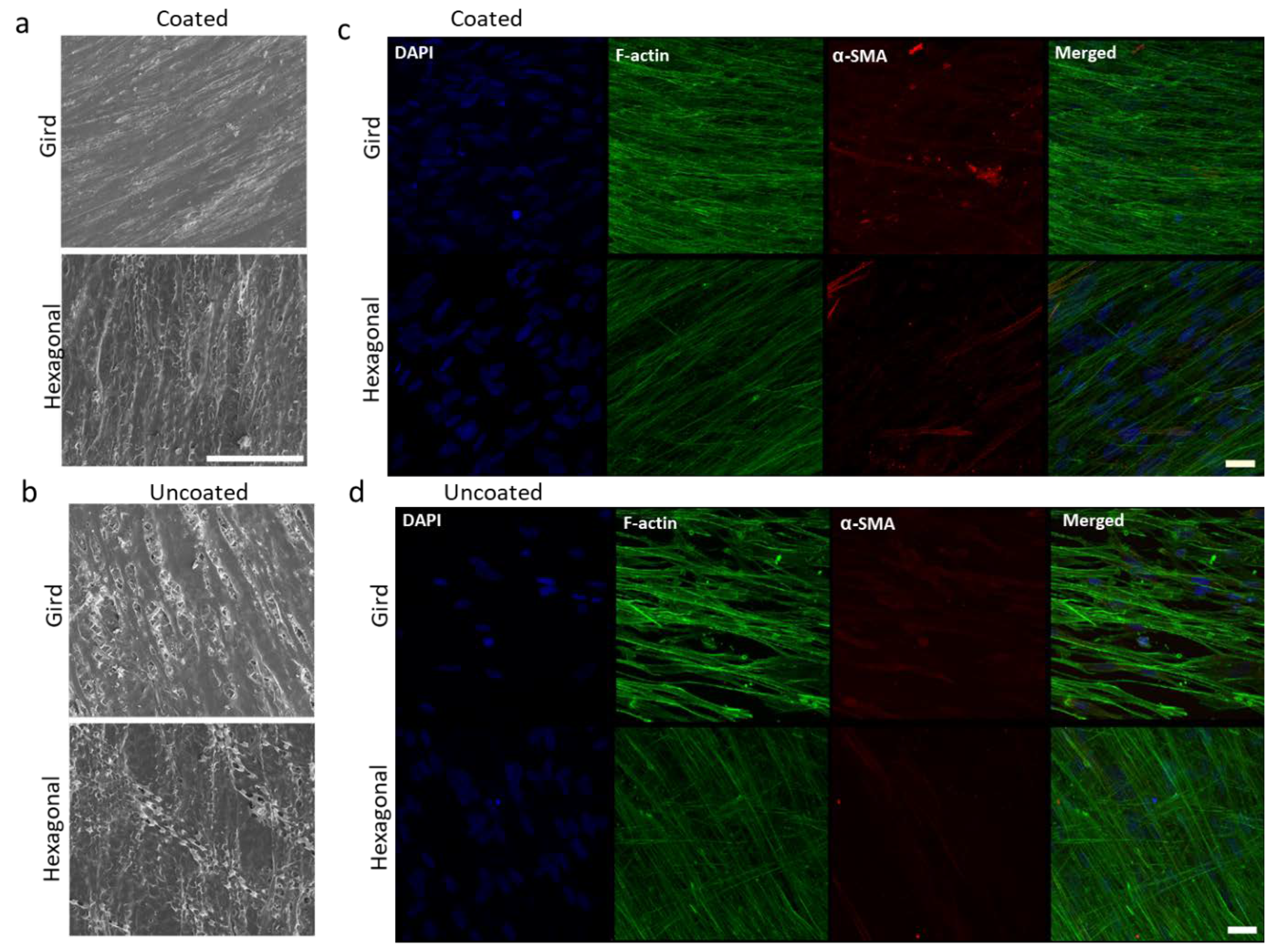Bioengineering 10 00679 g005