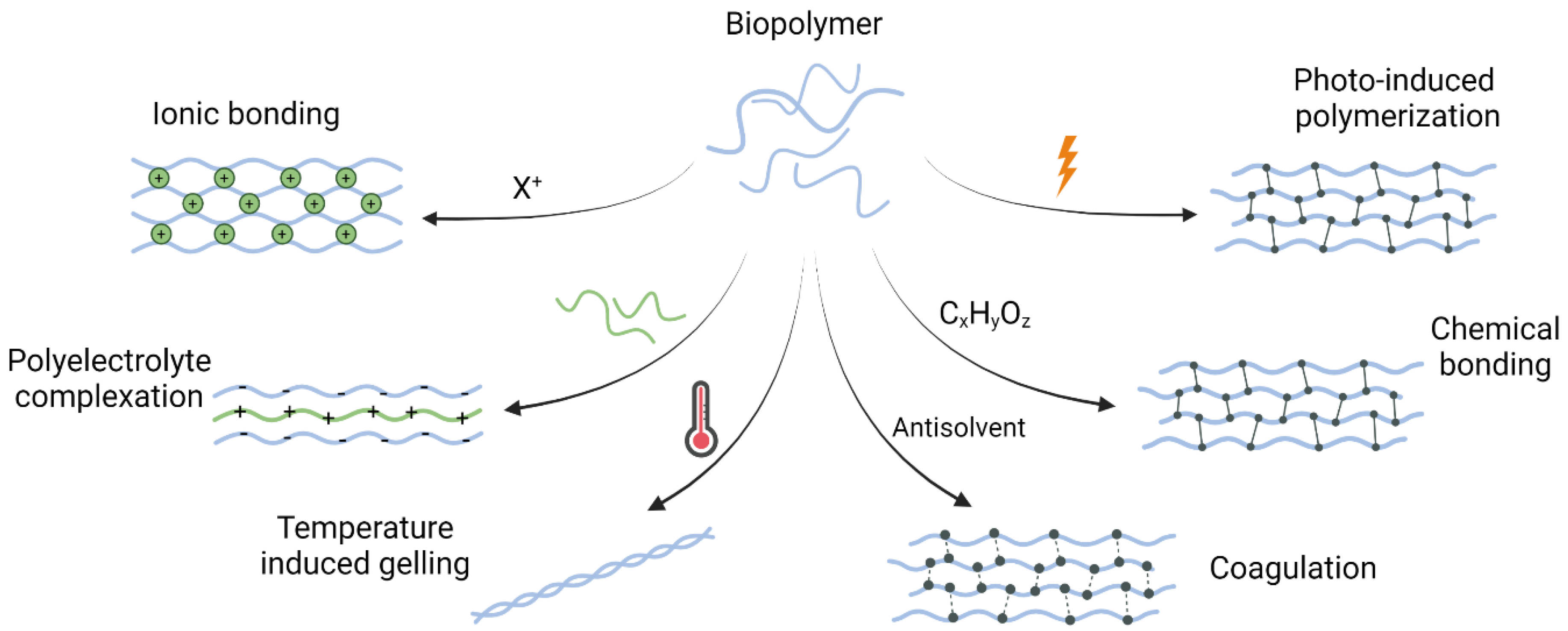 Bioengineering 10 00682 g003 Bioengineering 10 00682 g003