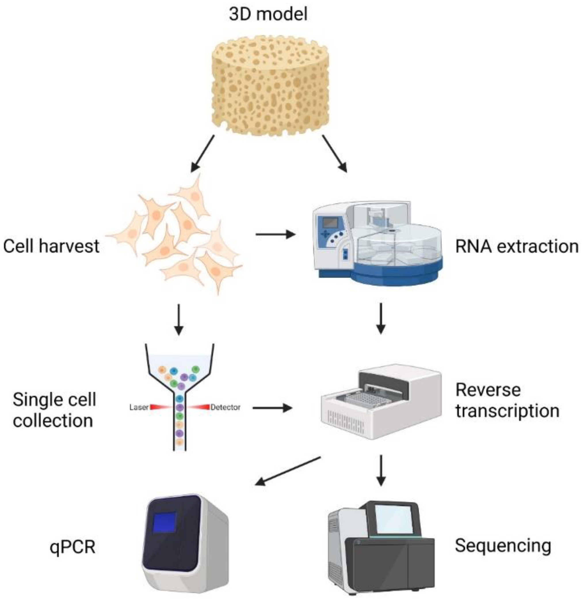 Bioengineering 10 00682 g006 Bioengineering 10 00682 g006