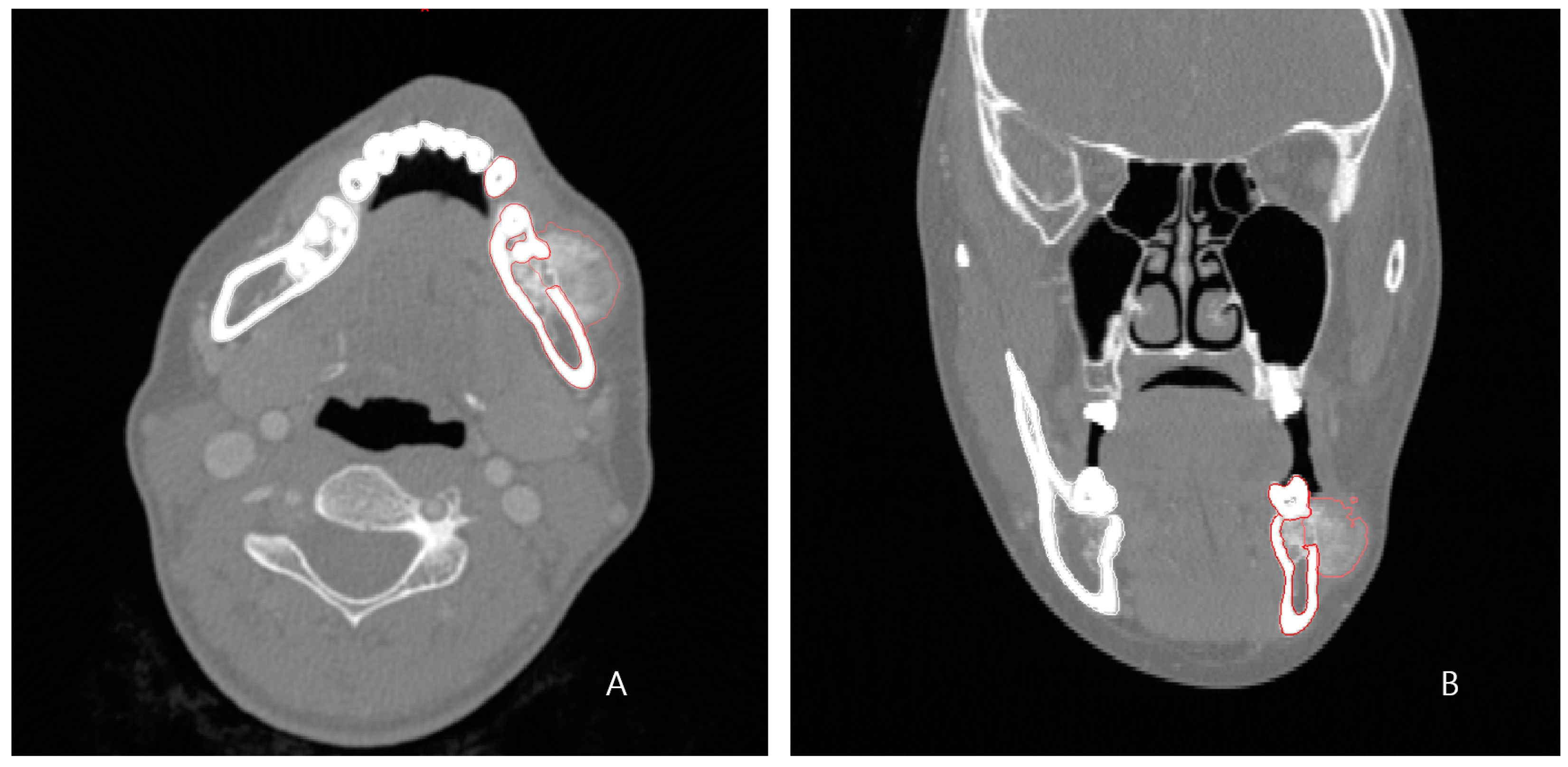 Bioengineering 10 00684 g001
