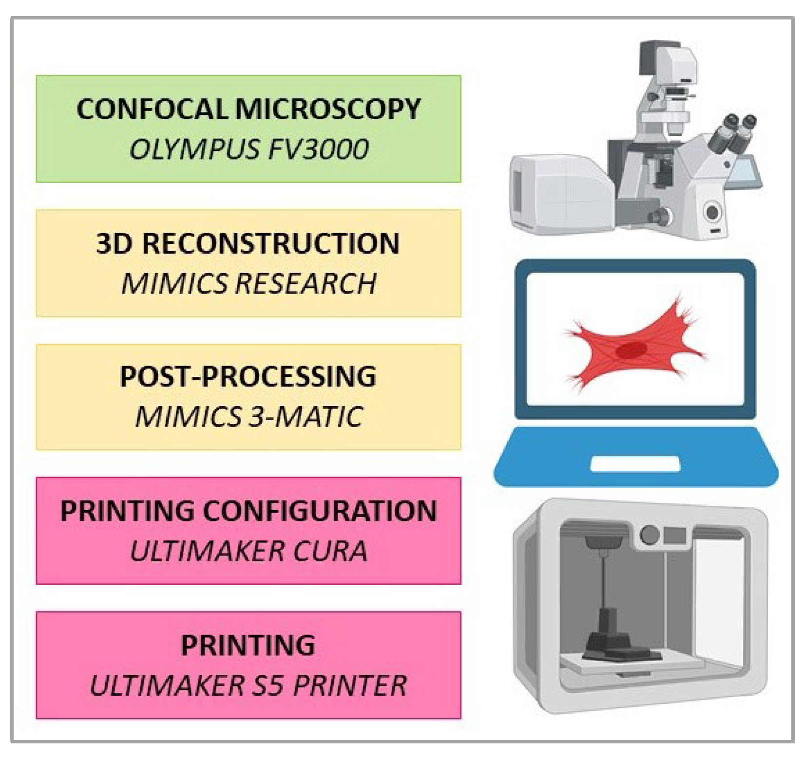 Bioengineering 10 00687 g001 Bioengineering 10 00687 g001
