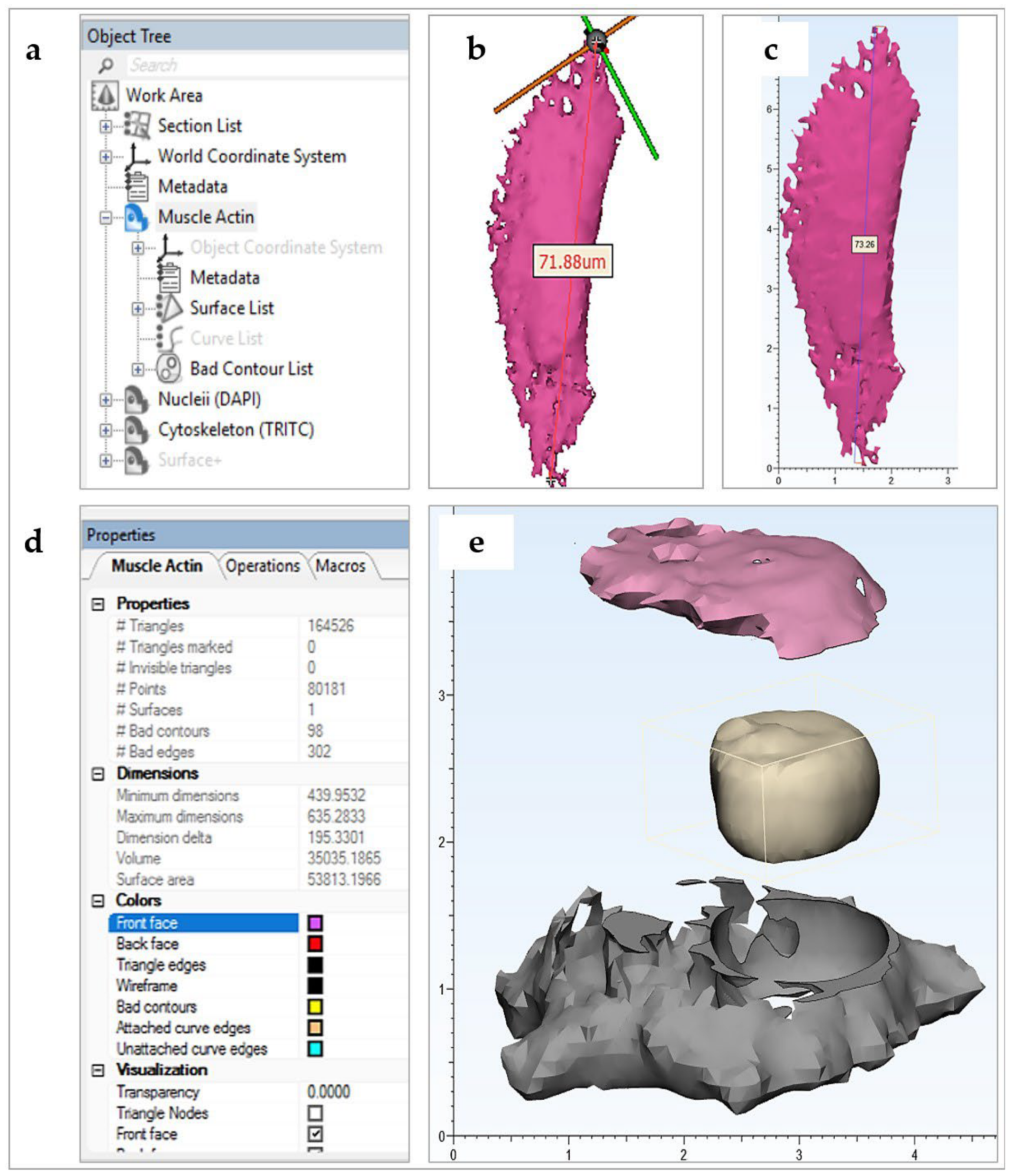 Bioengineering 10 00687 g002 Bioengineering 10 00687 g002