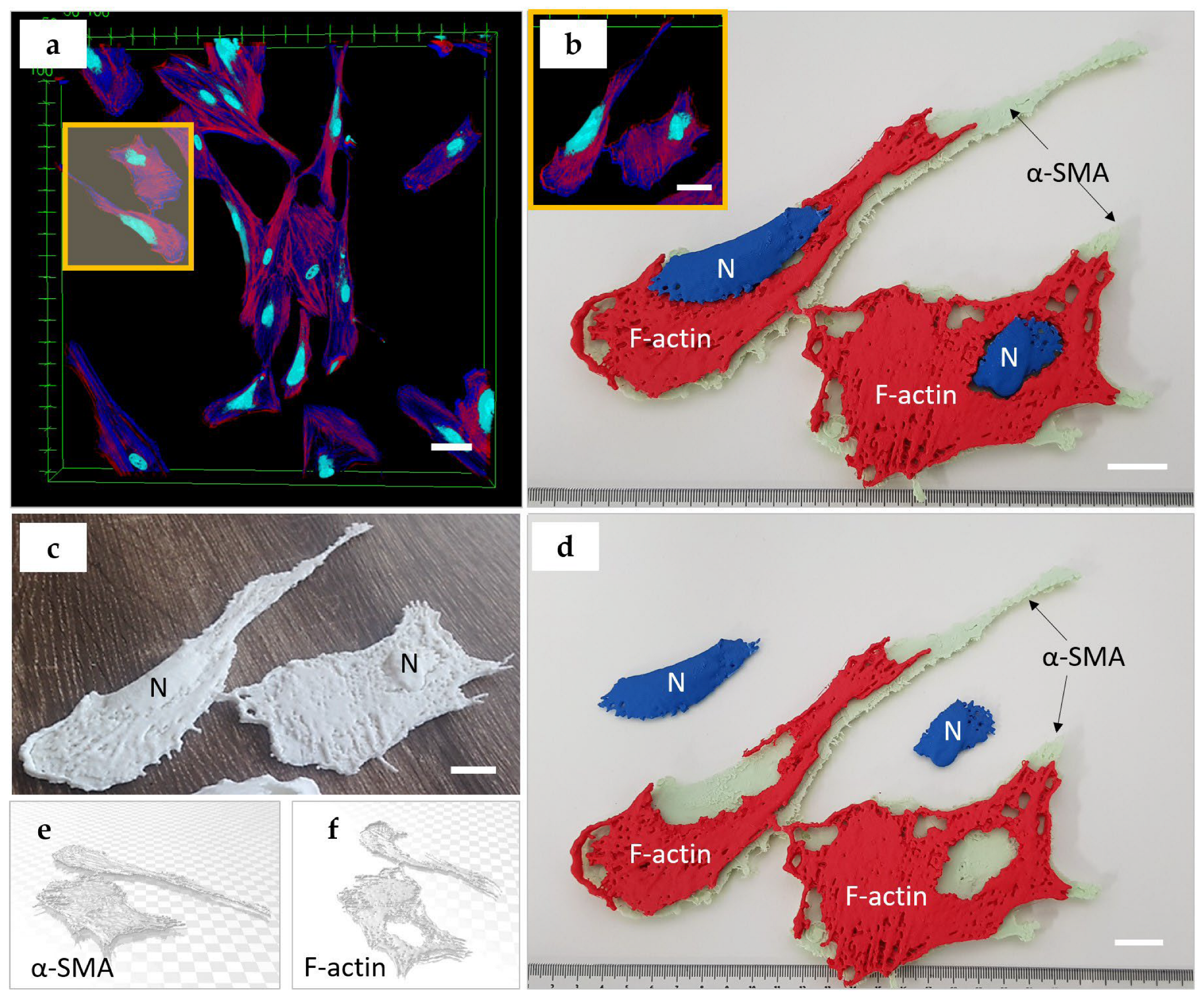 Bioengineering 10 00687 g004 Bioengineering 10 00687 g004