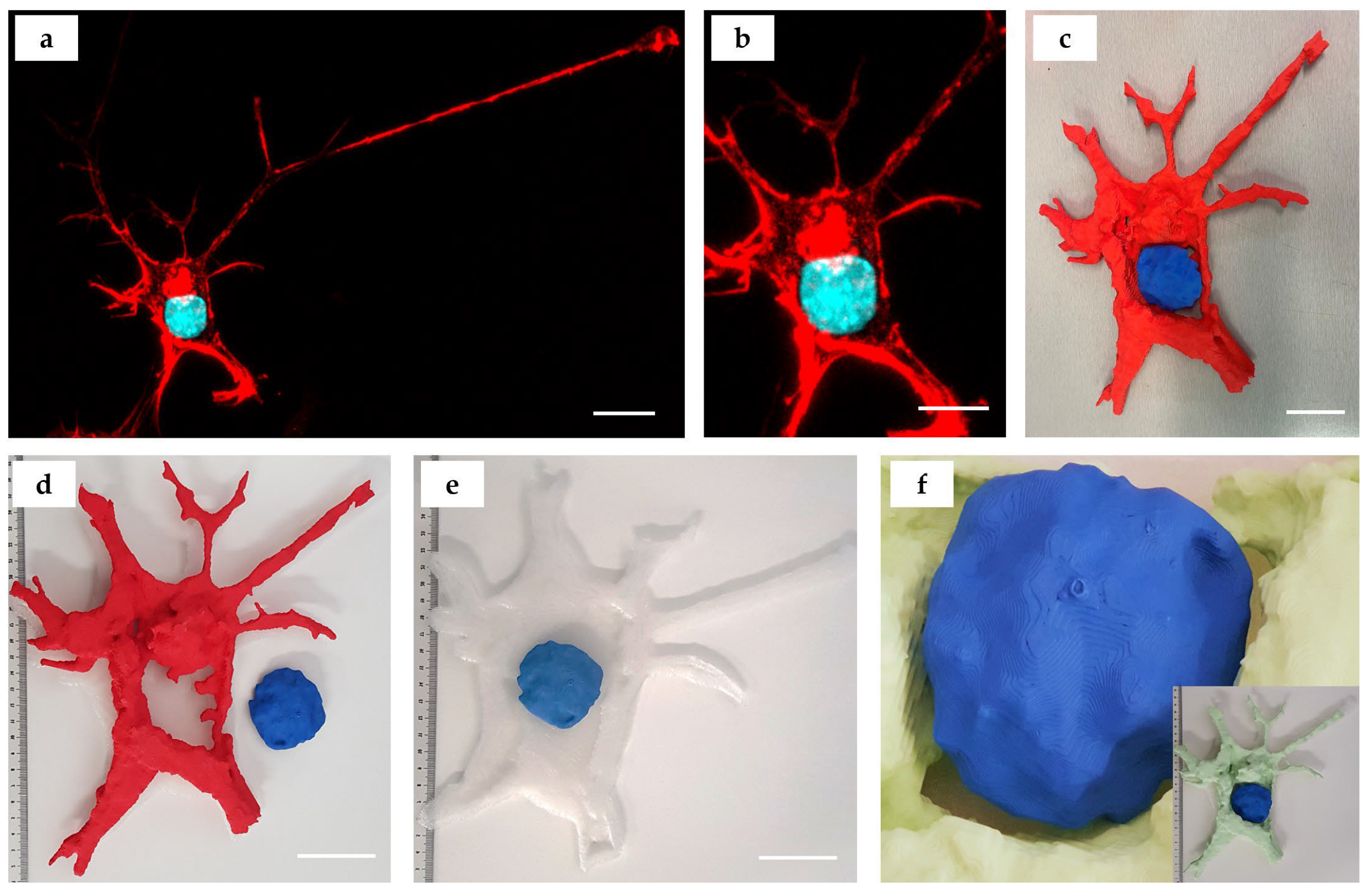Bioengineering 10 00687 g005 Bioengineering 10 00687 g005