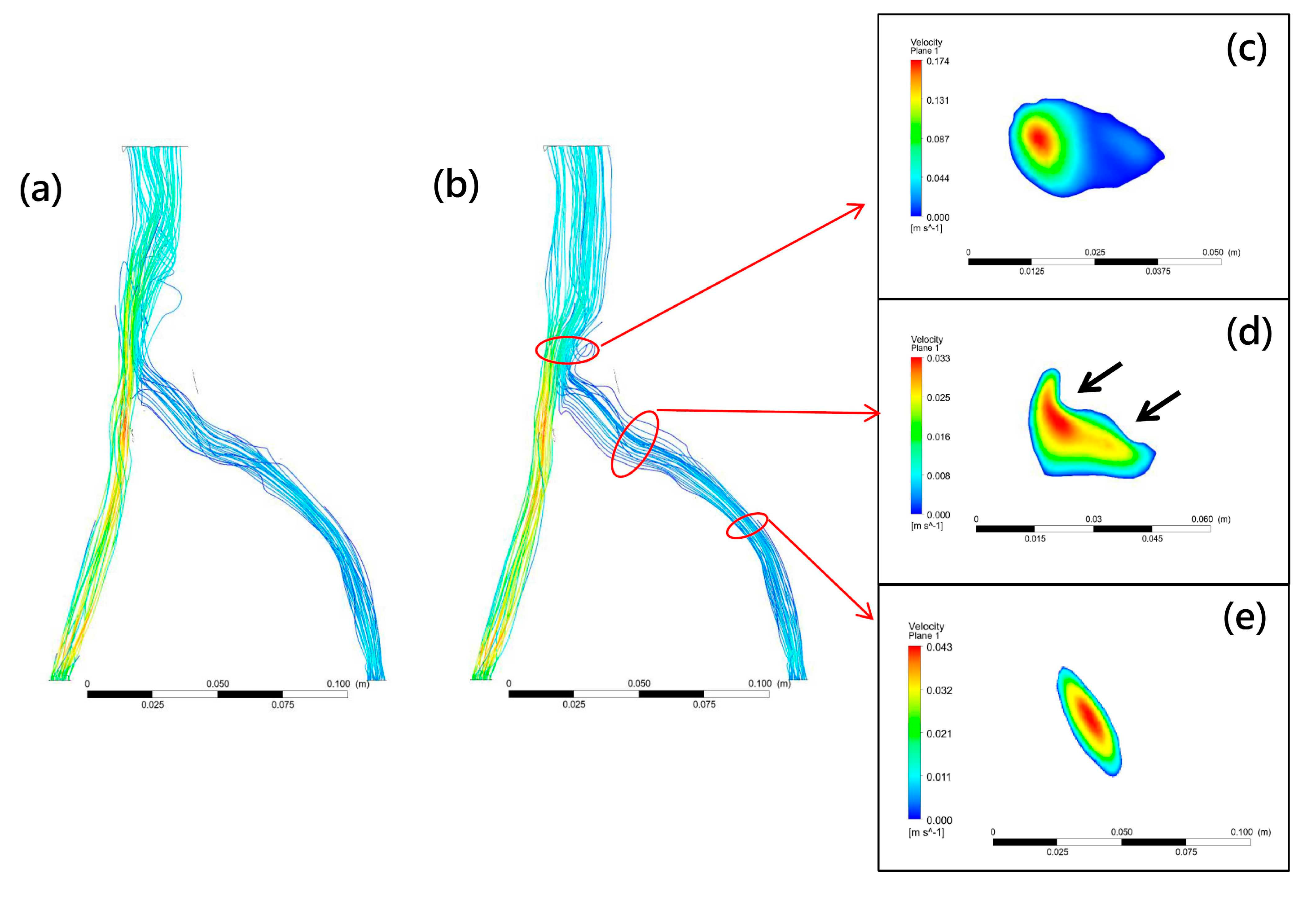 Bioengineering 10 00688 g004 Bioengineering 10 00688 g004