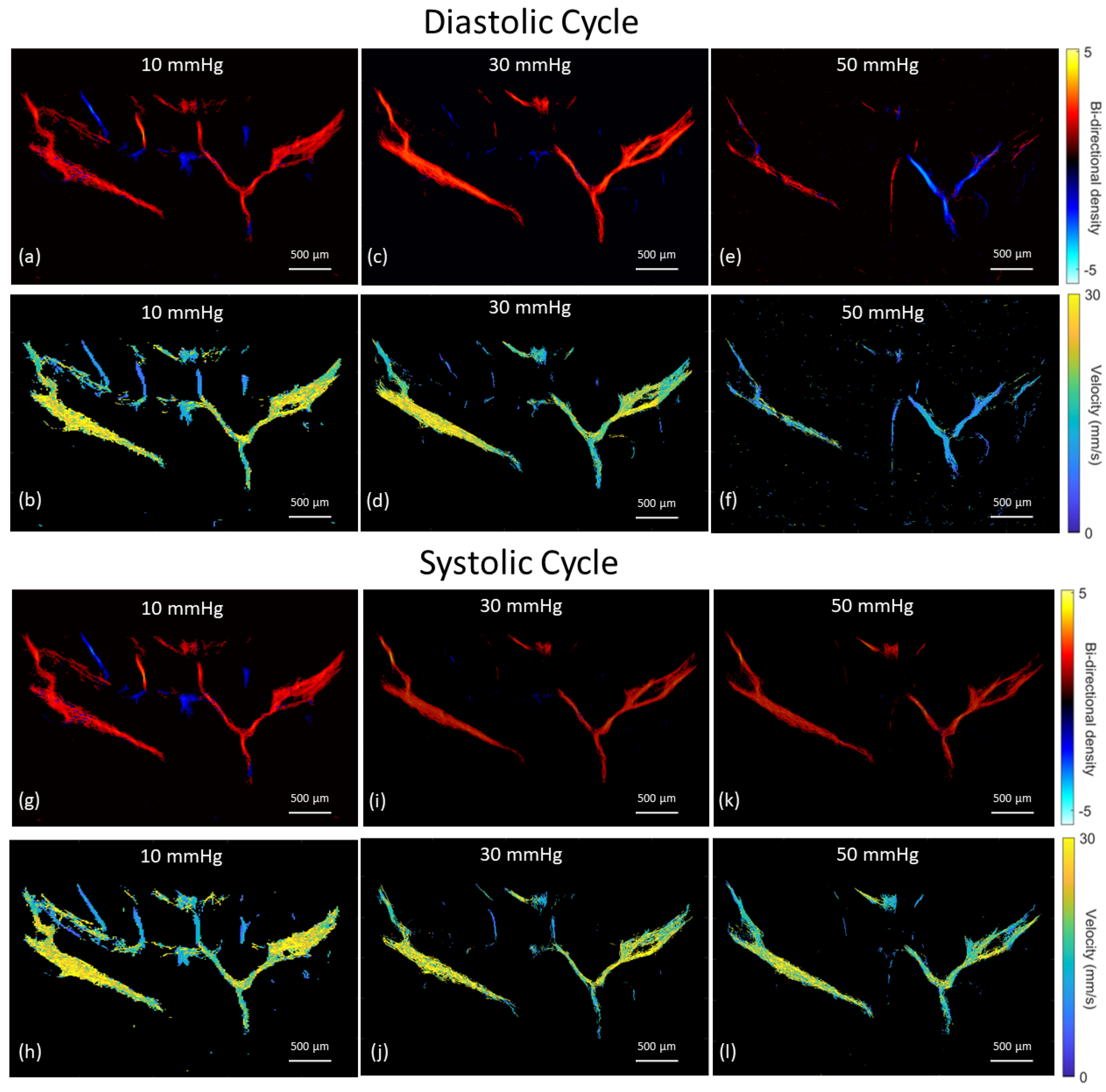 Bioengineering 10 00689 g010 Bioengineering 10 00689 g010