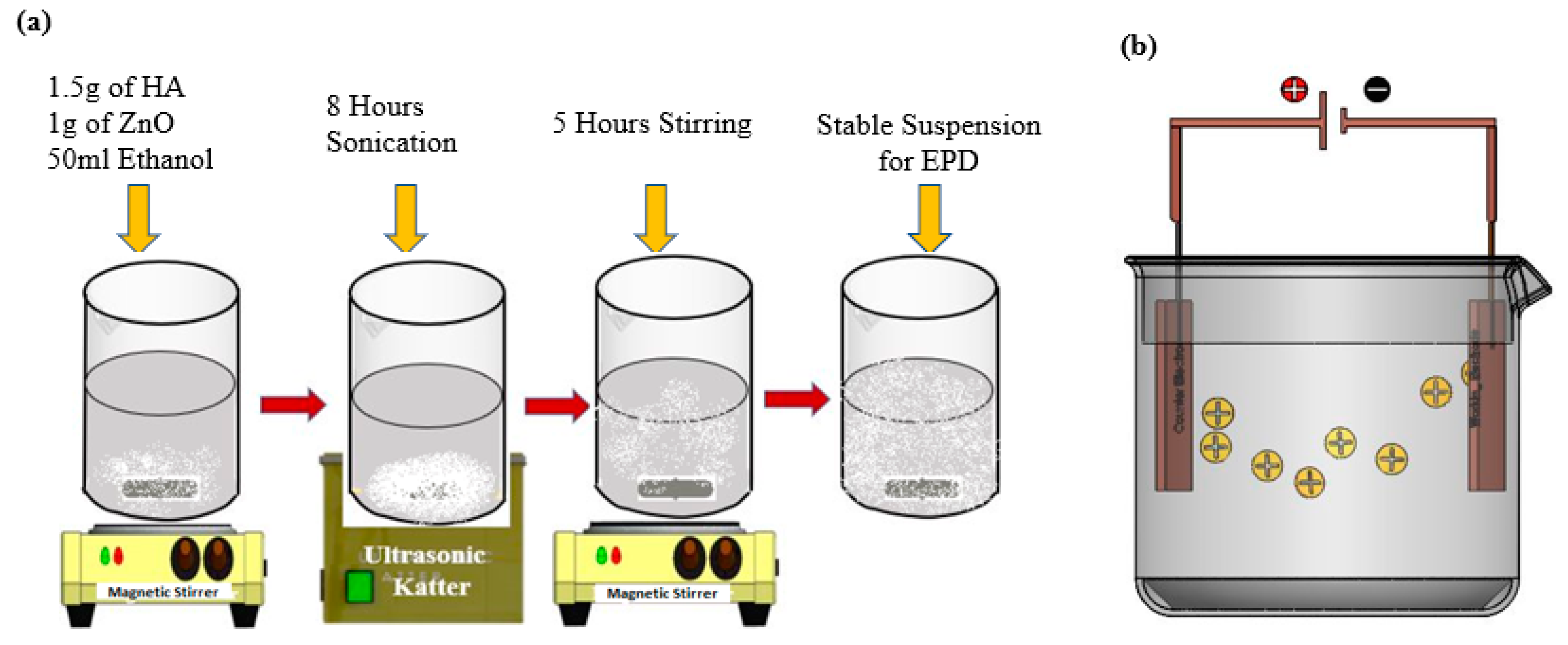 Bioengineering 10 00693 g001 Bioengineering 10 00693 g001