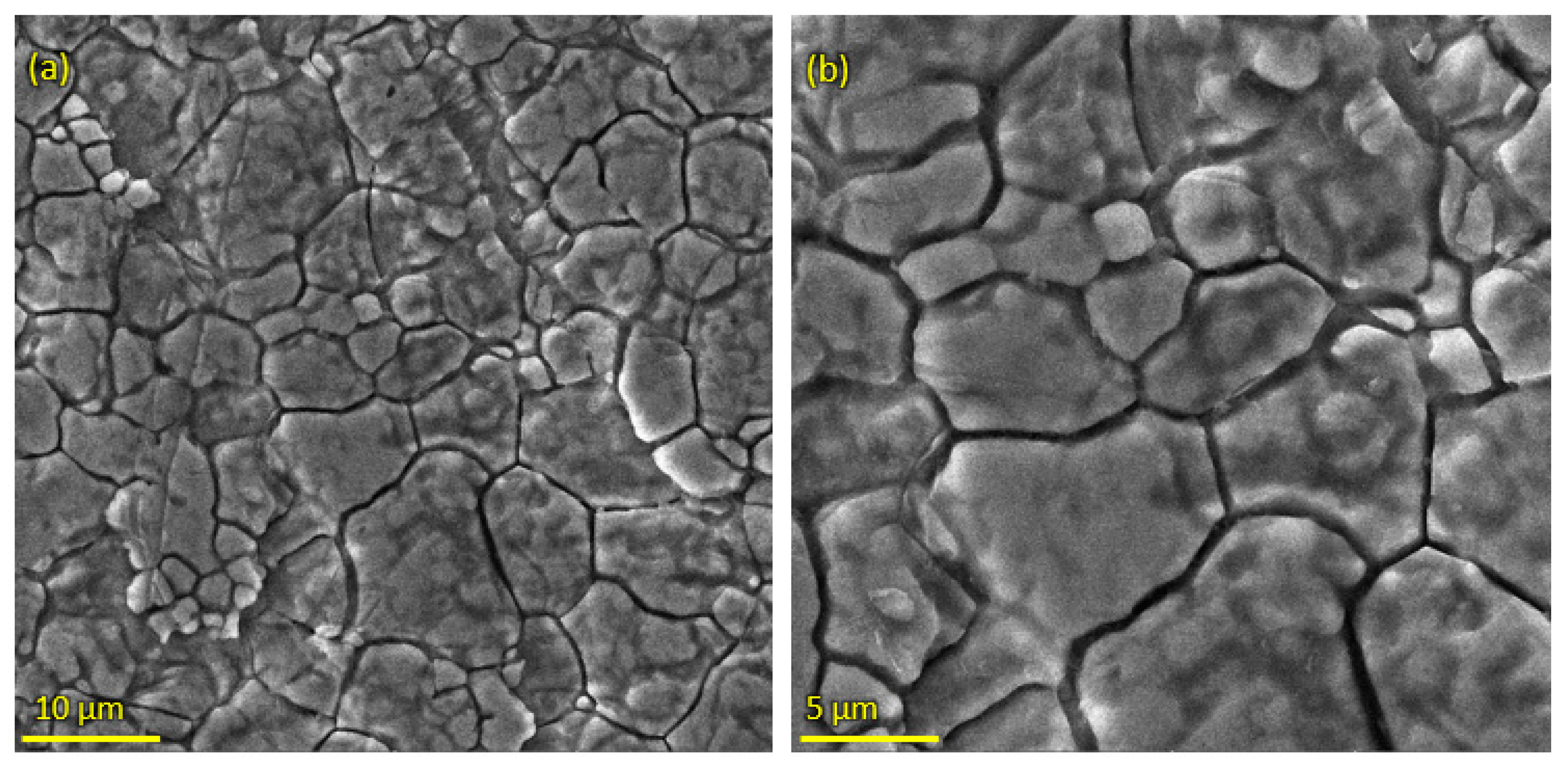 Bioengineering 10 00693 g003 Bioengineering 10 00693 g003