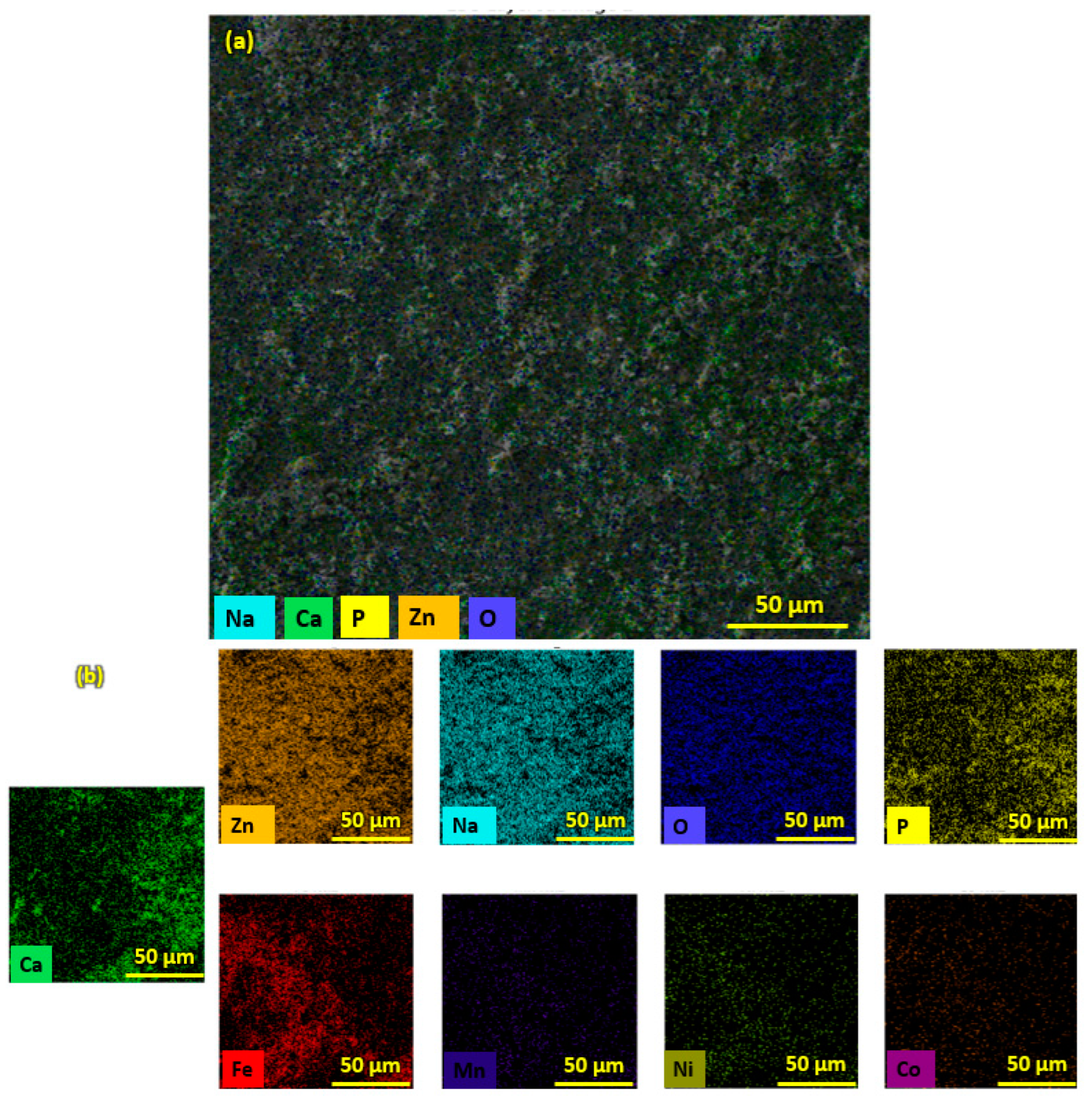 Bioengineering 10 00693 g006 Bioengineering 10 00693 g006