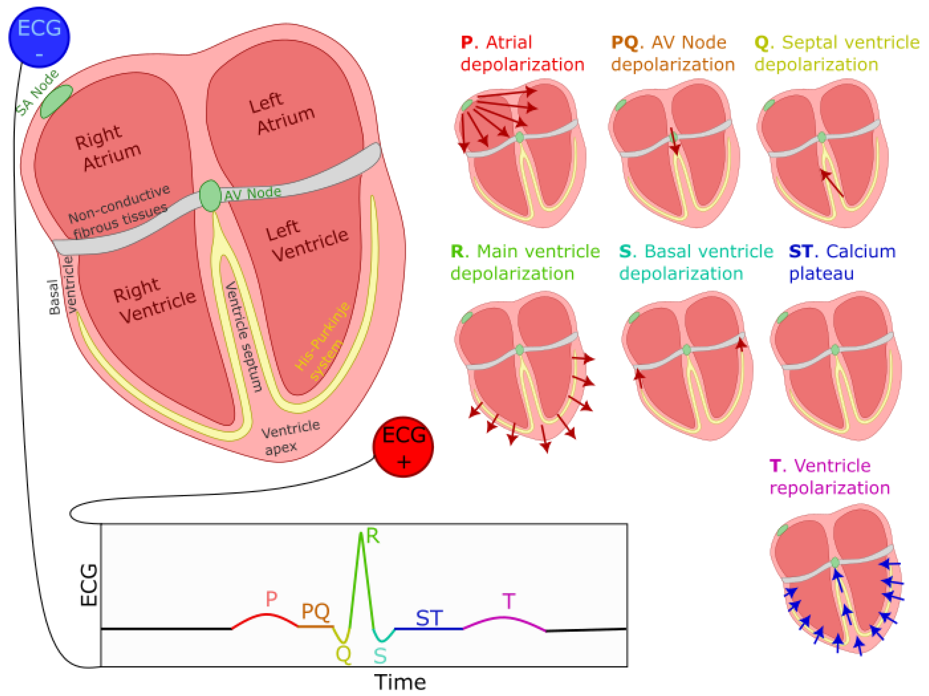 Bioengineering 10 00696 g001