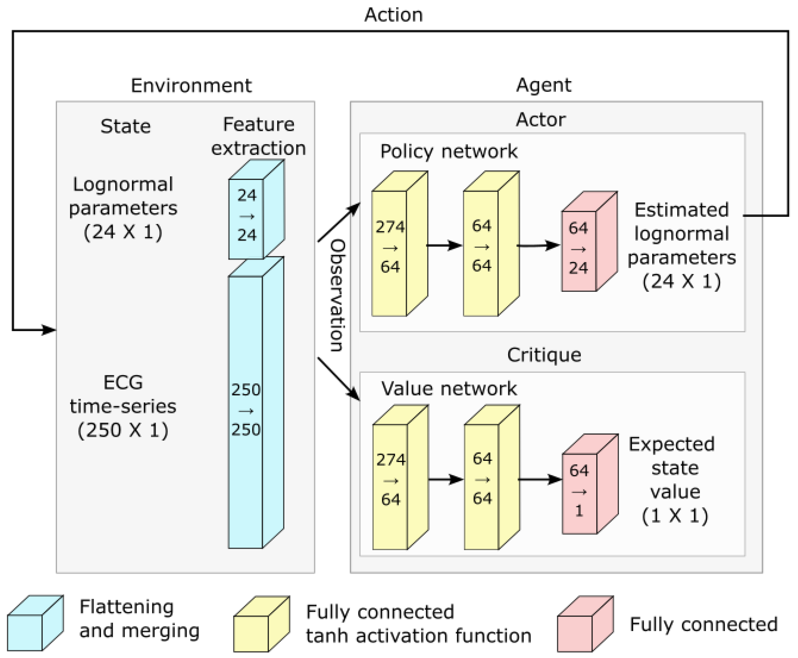 Bioengineering 10 00696 g005