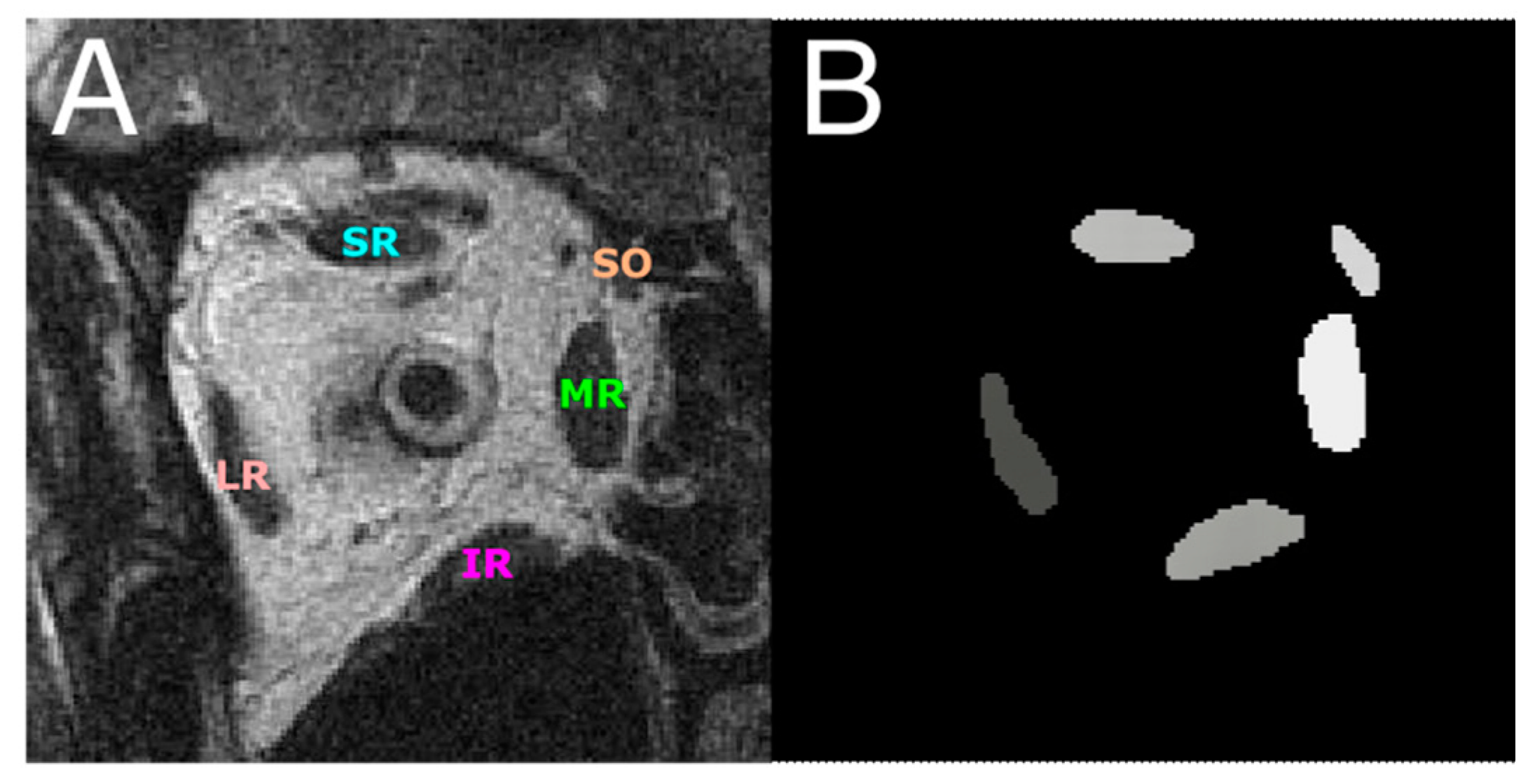 Bioengineering 10 00699 g001