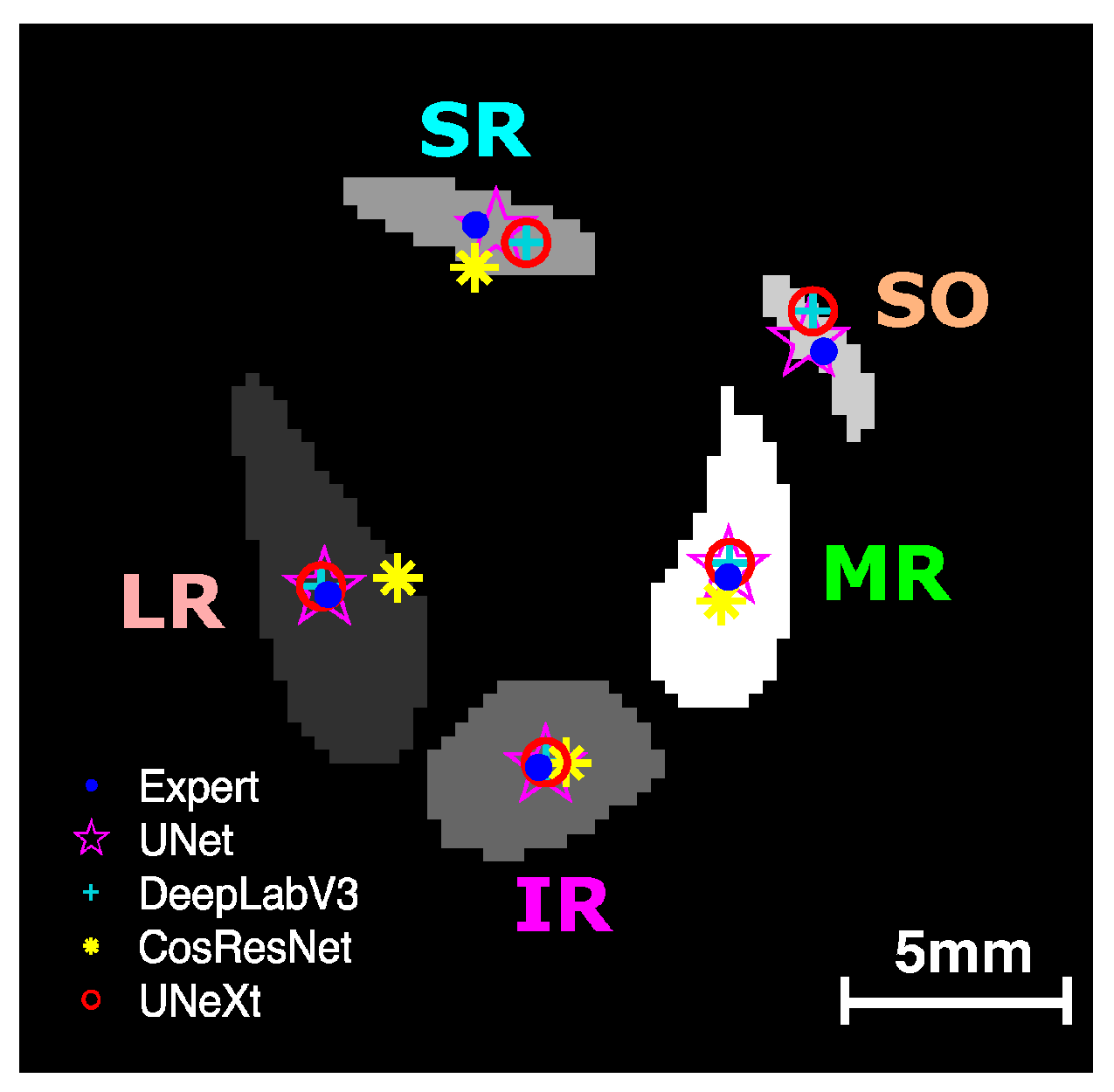 Bioengineering 10 00699 g005