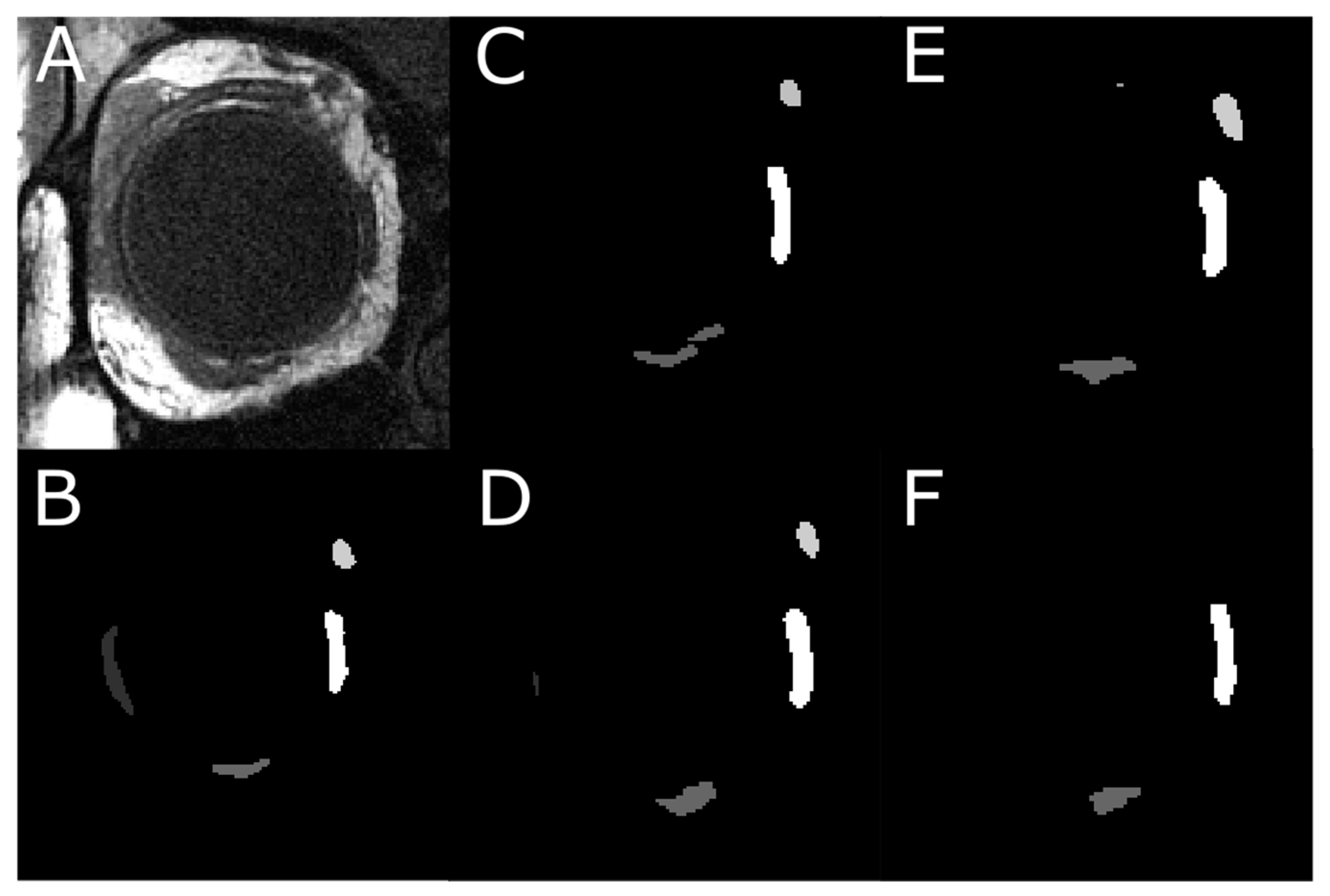 Bioengineering 10 00699 g010