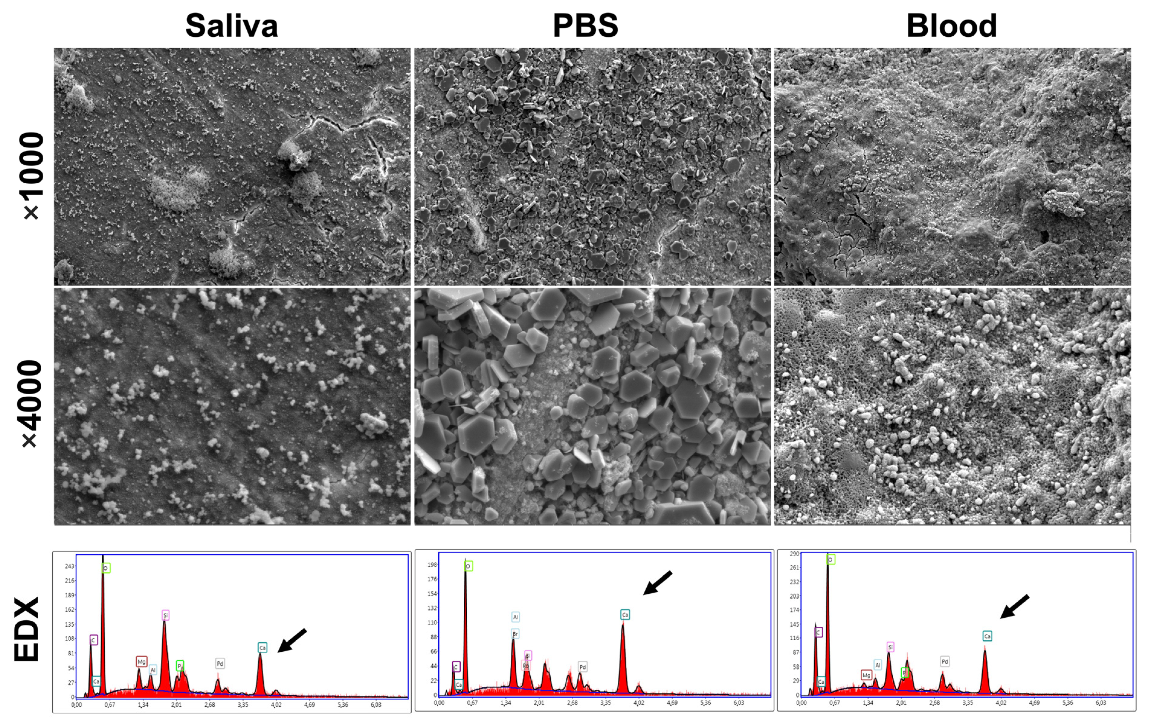 Bioengineering 10 00700 g005 Bioengineering 10 00700 g005