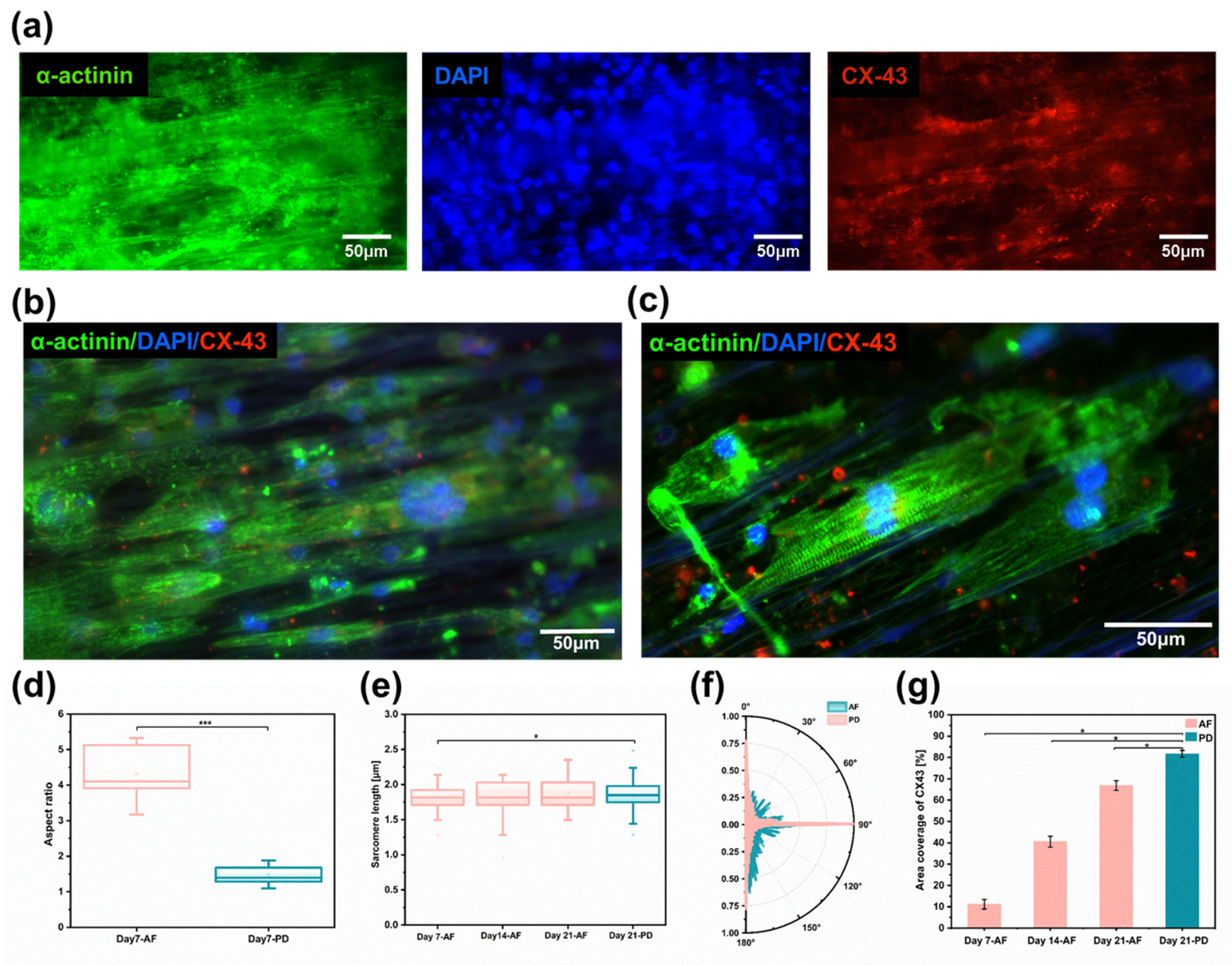 Bioengineering 10 00702 g005 Bioengineering 10 00702 g005