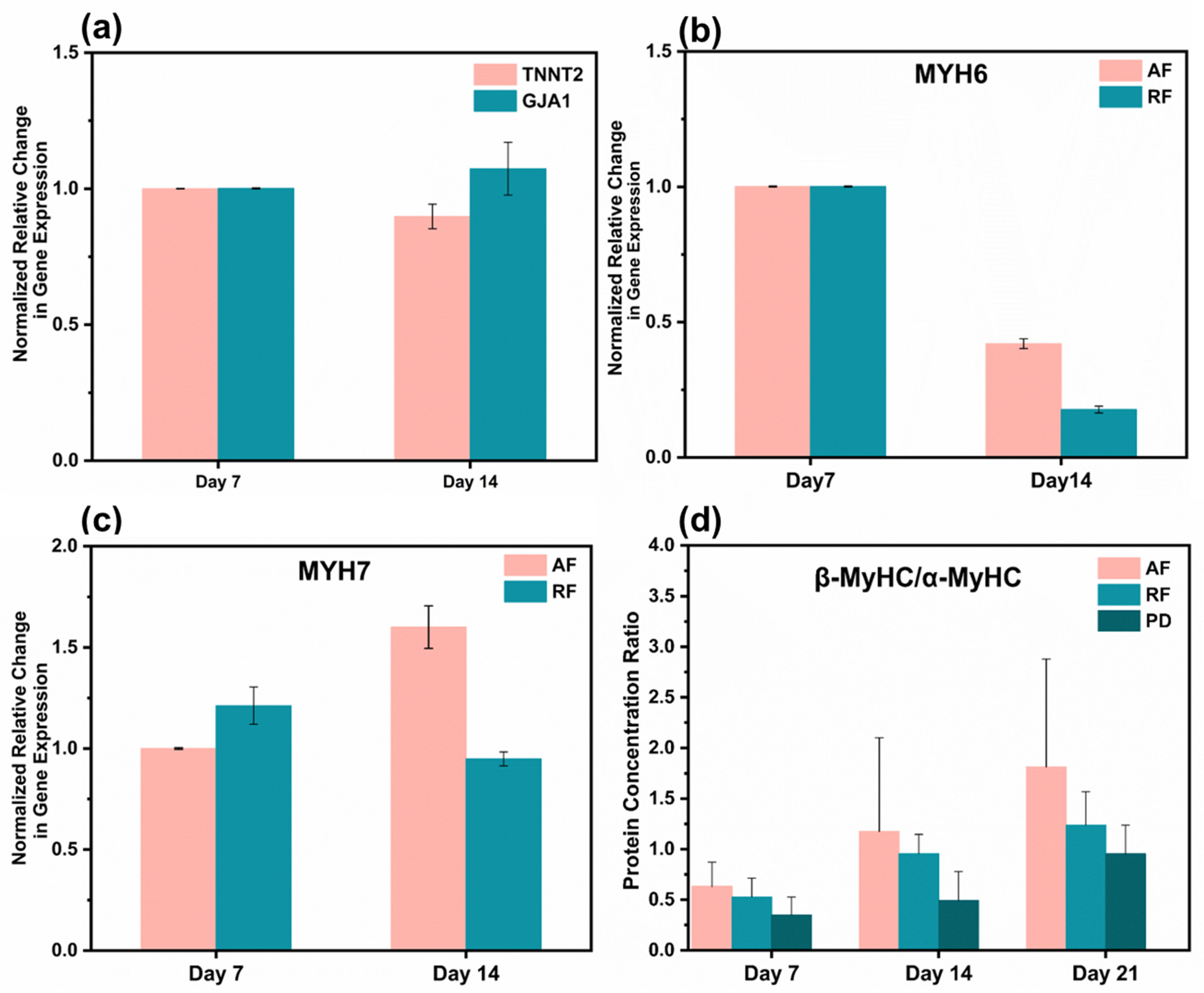 Bioengineering 10 00702 g006 Bioengineering 10 00702 g006