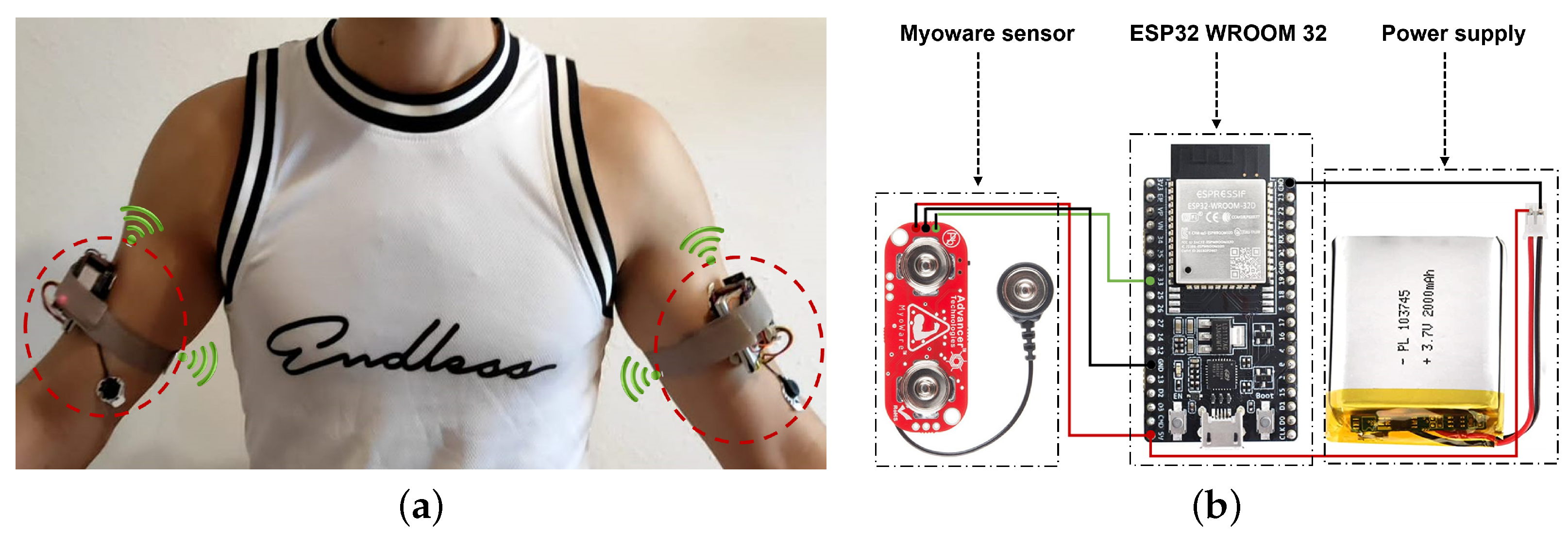 Bioengineering 10 00703 g003 Bioengineering 10 00703 g003