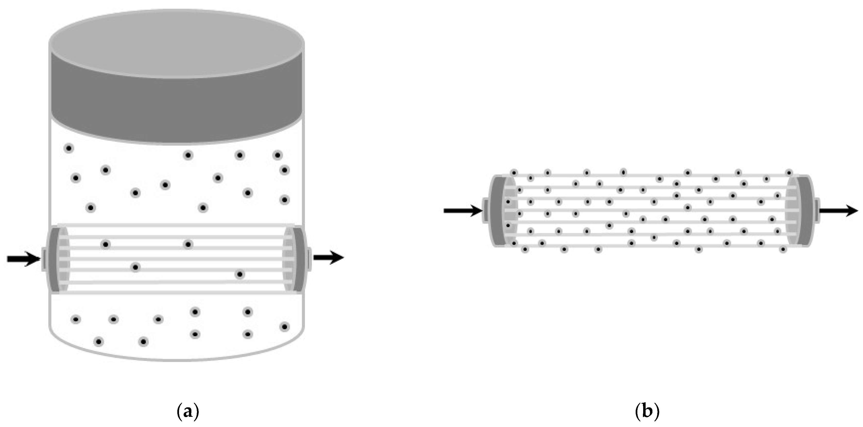 Bioengineering 10 00706 g003