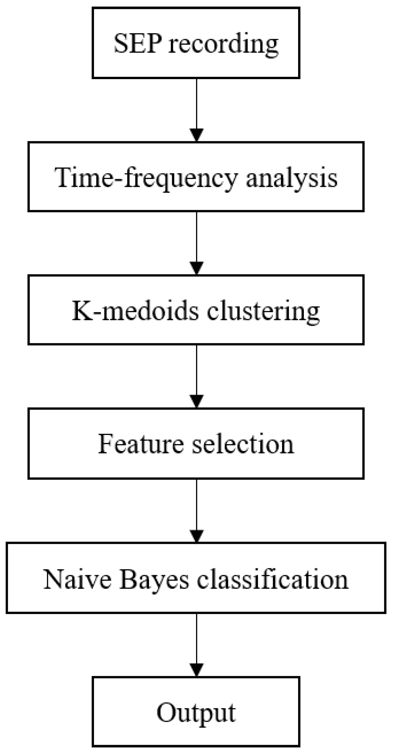 Bioengineering 10 00707 g001