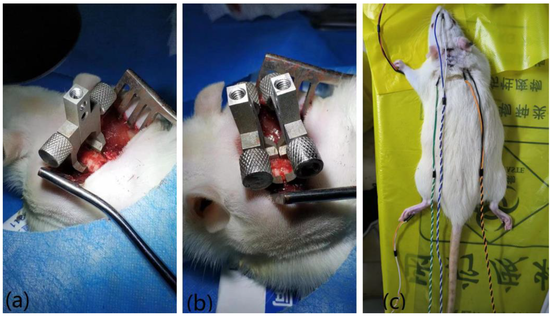 Bioengineering 10 00707 g002