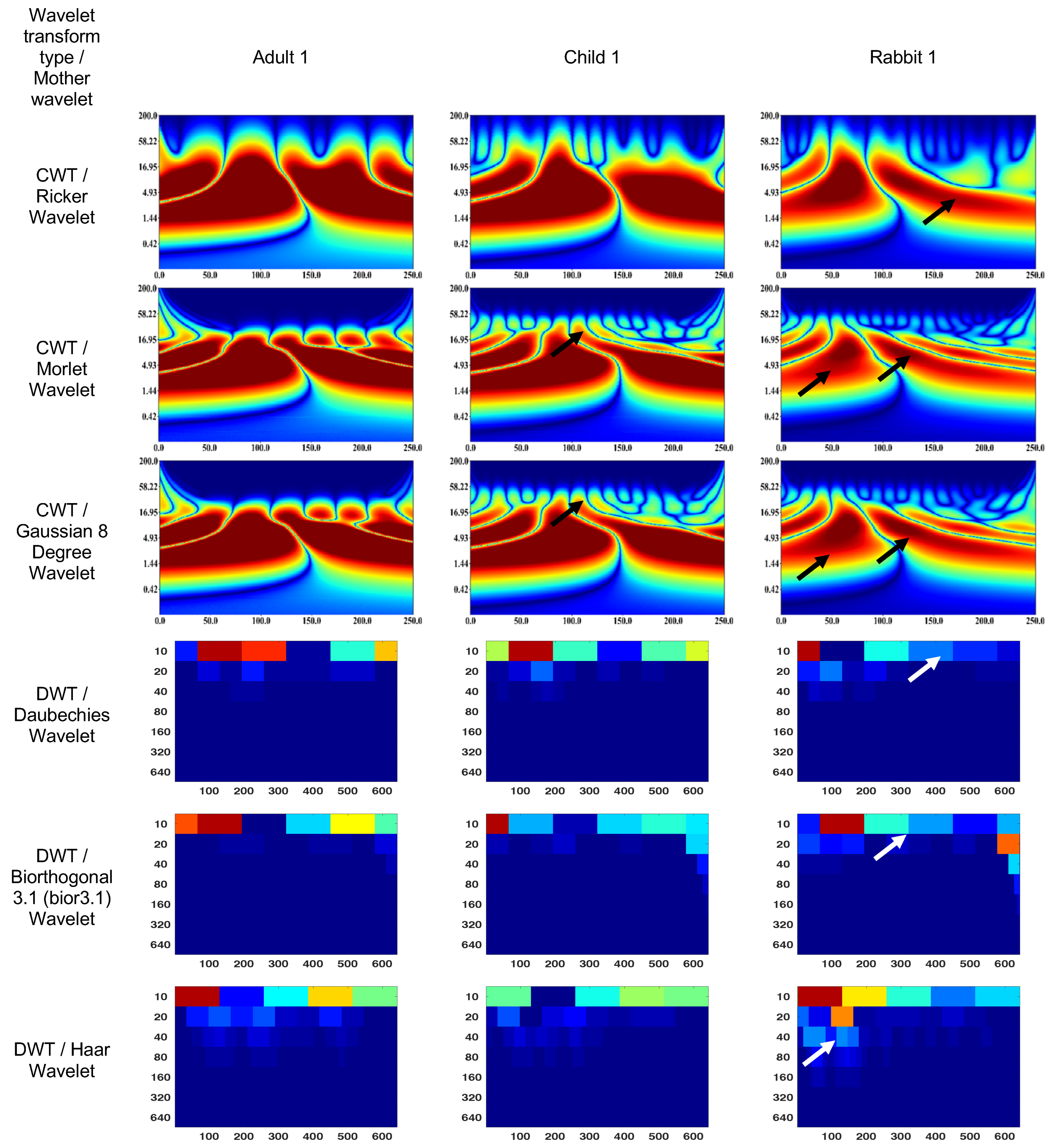 Bioengineering 10 00708 g005