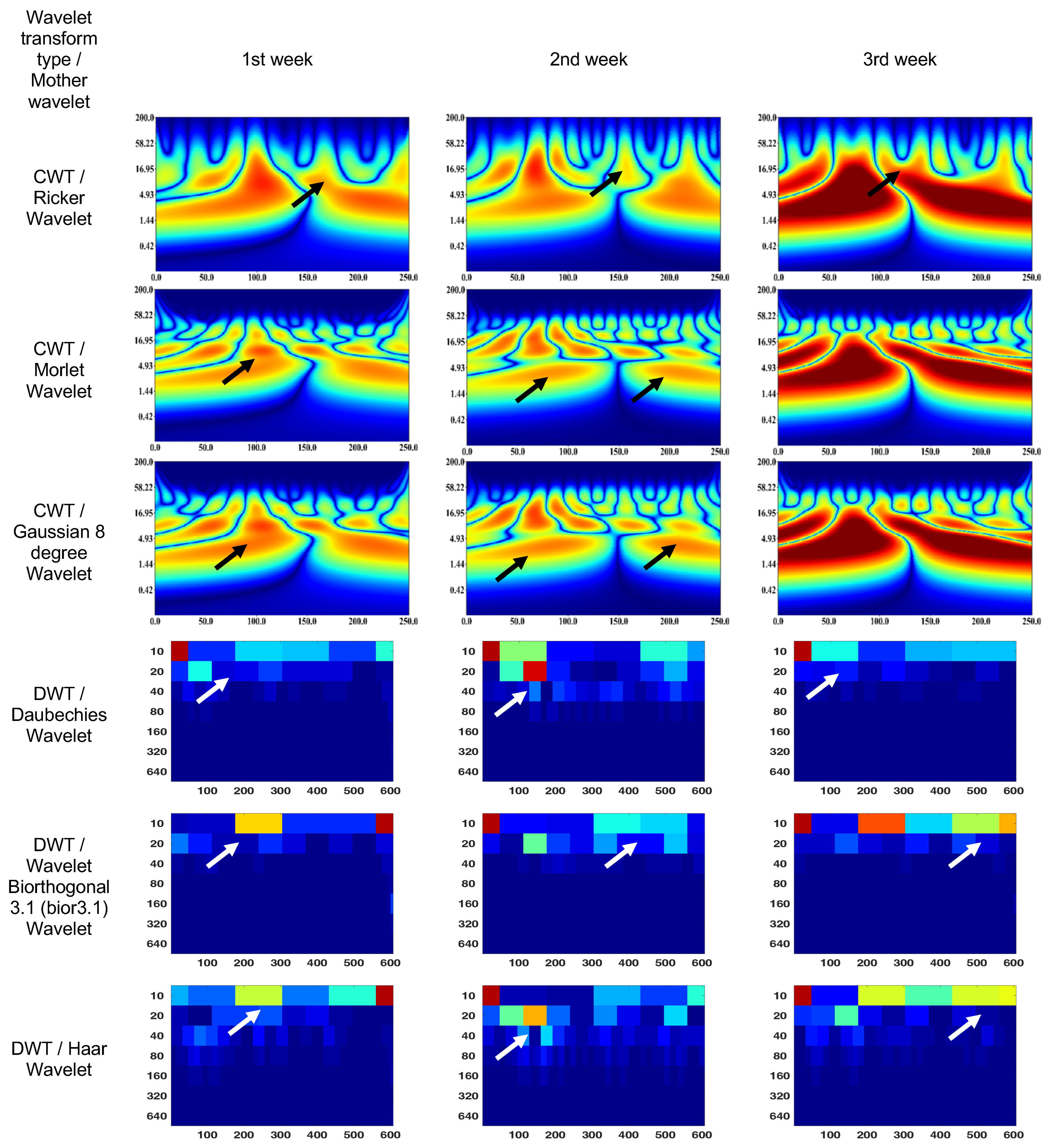 Bioengineering 10 00708 g007