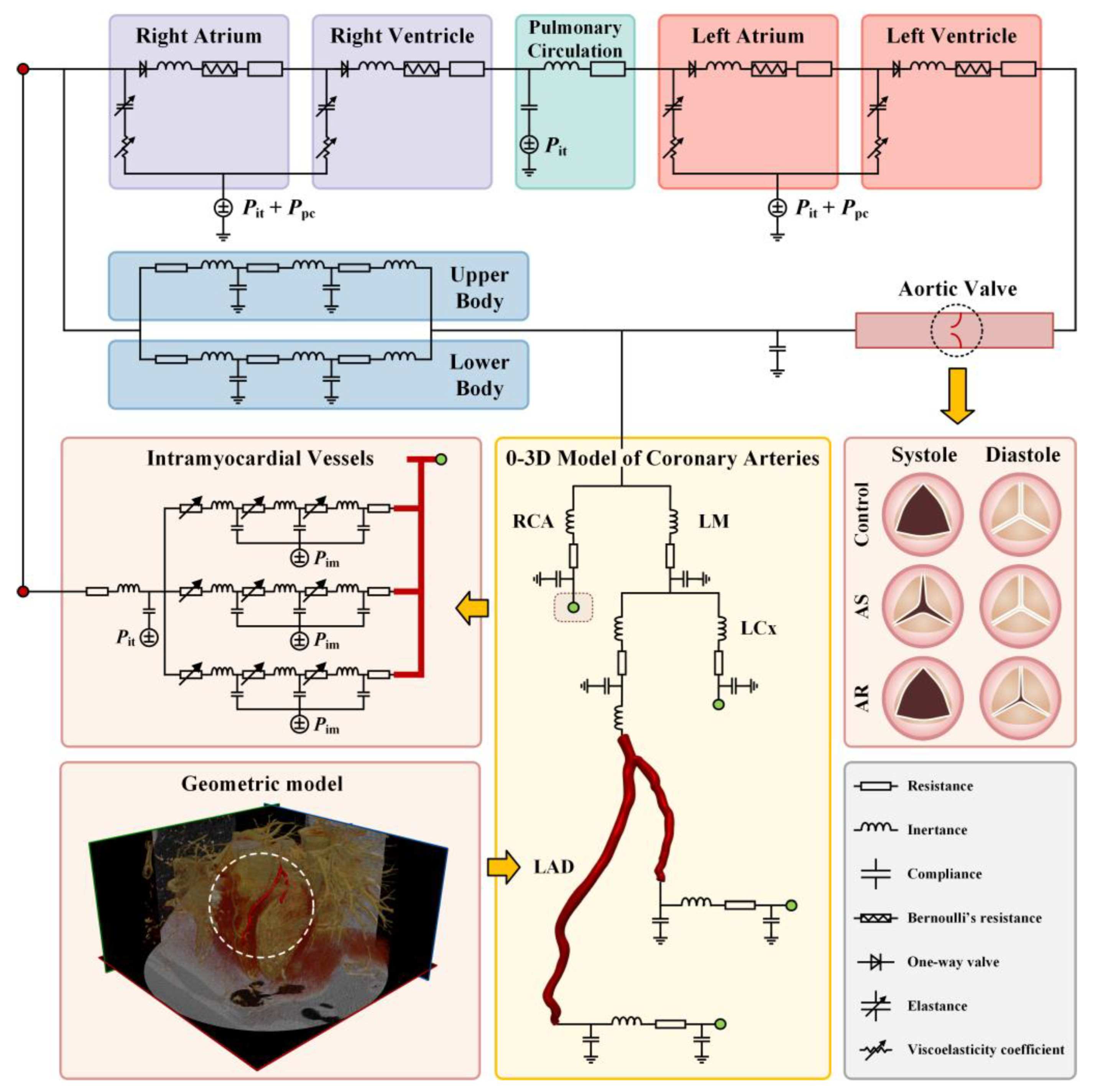 Bioengineering 10 00709 g001
